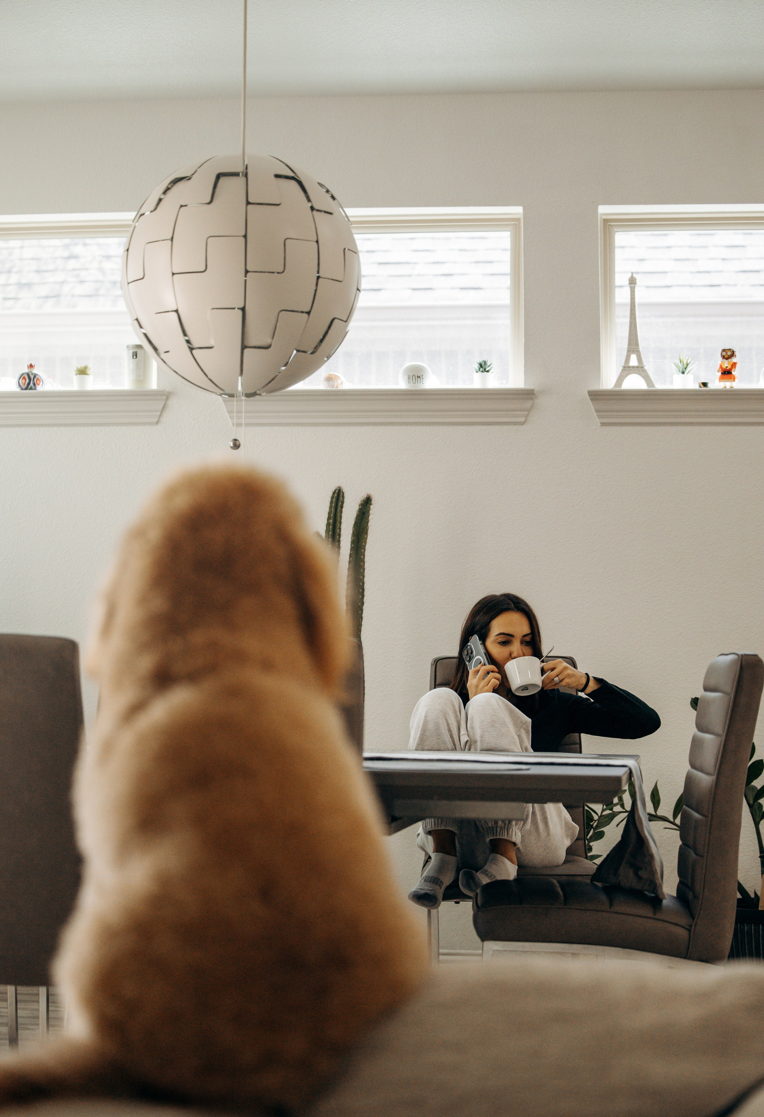 Richie & his Family. Pet Photographer Viktoriya Aleshenko