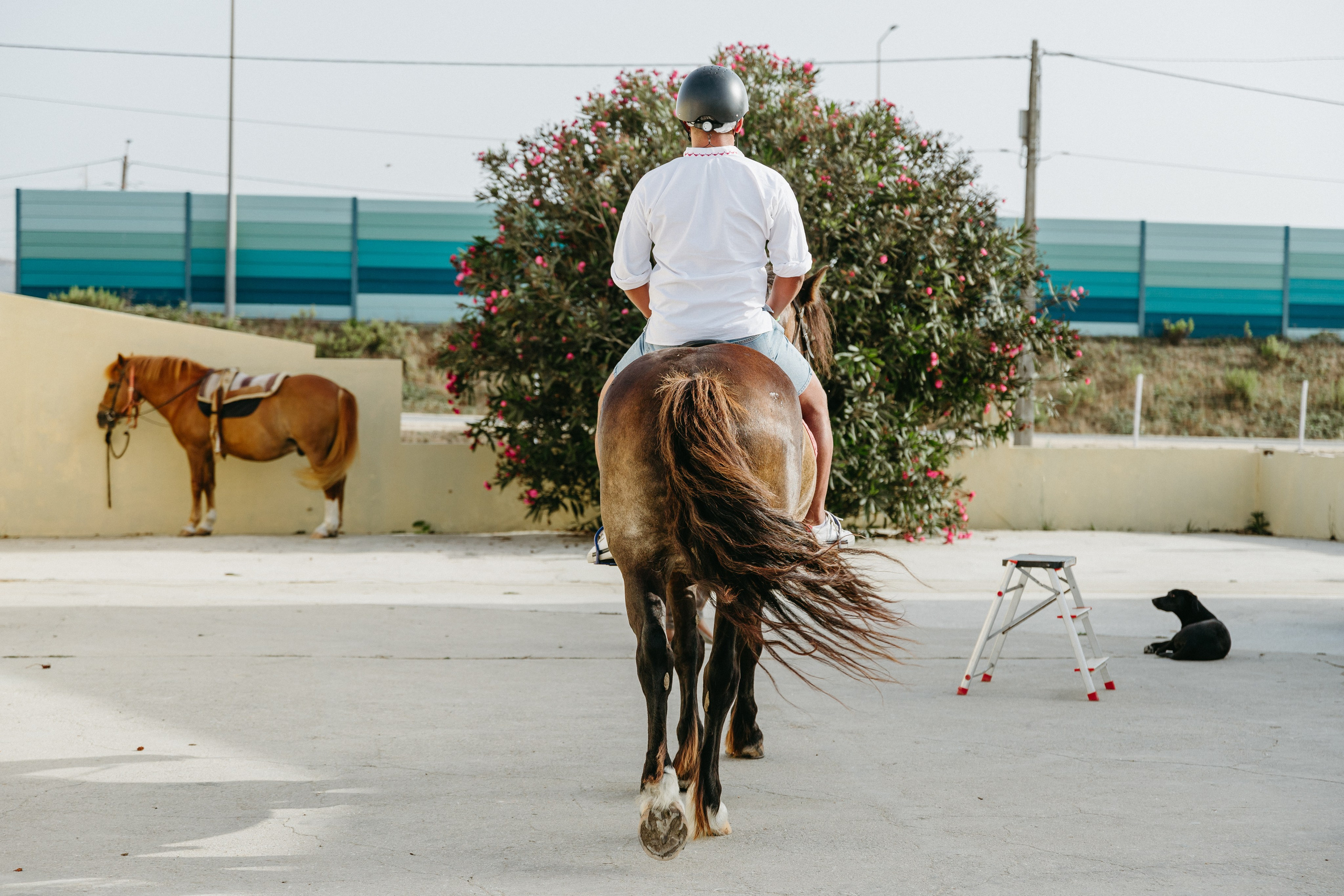 Marlene & Tiago com filhos. Passeios a Cavalo na Praia Peniche | Eco Salgados Agroturismo
