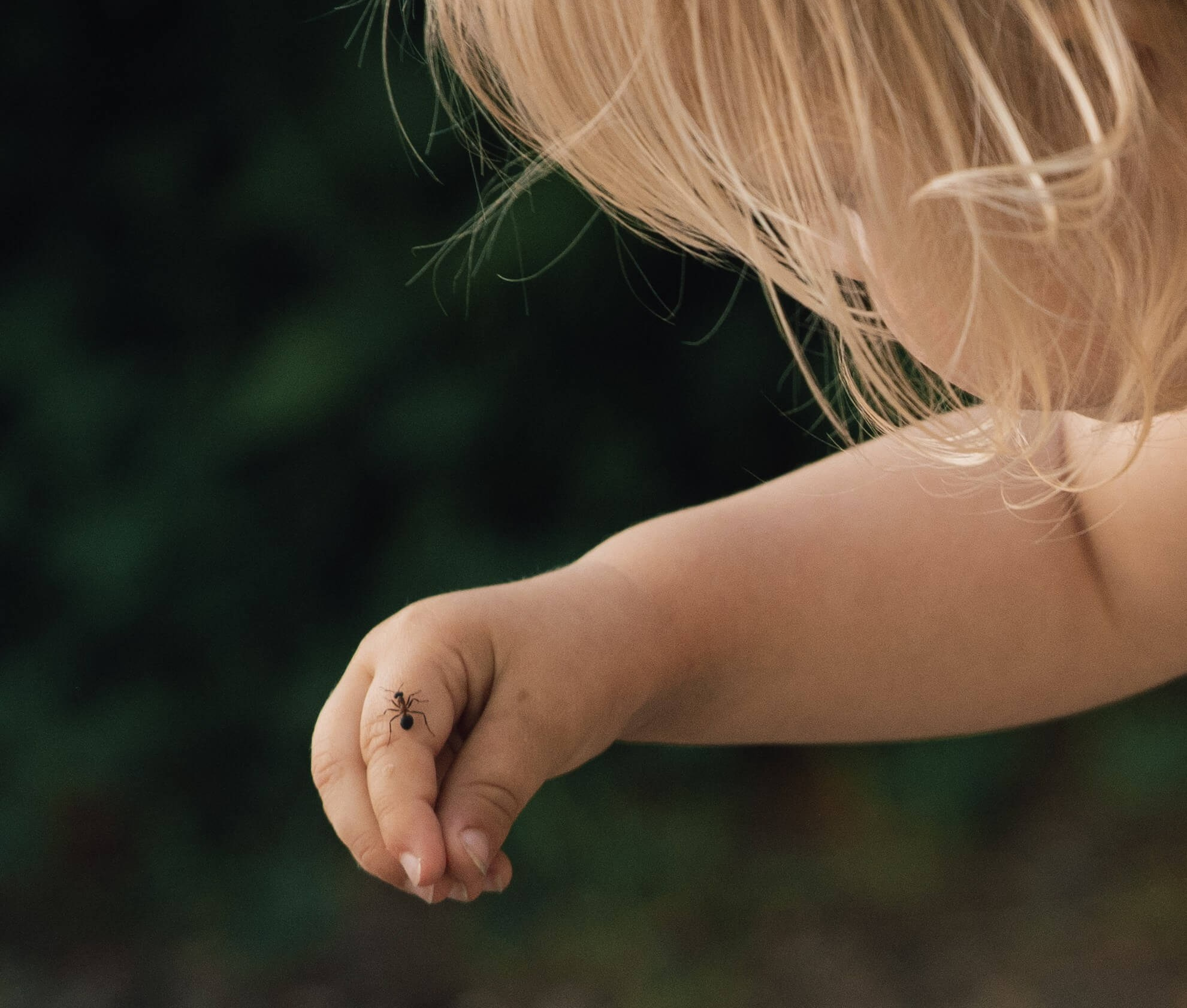 Lille barn utforsker naturen