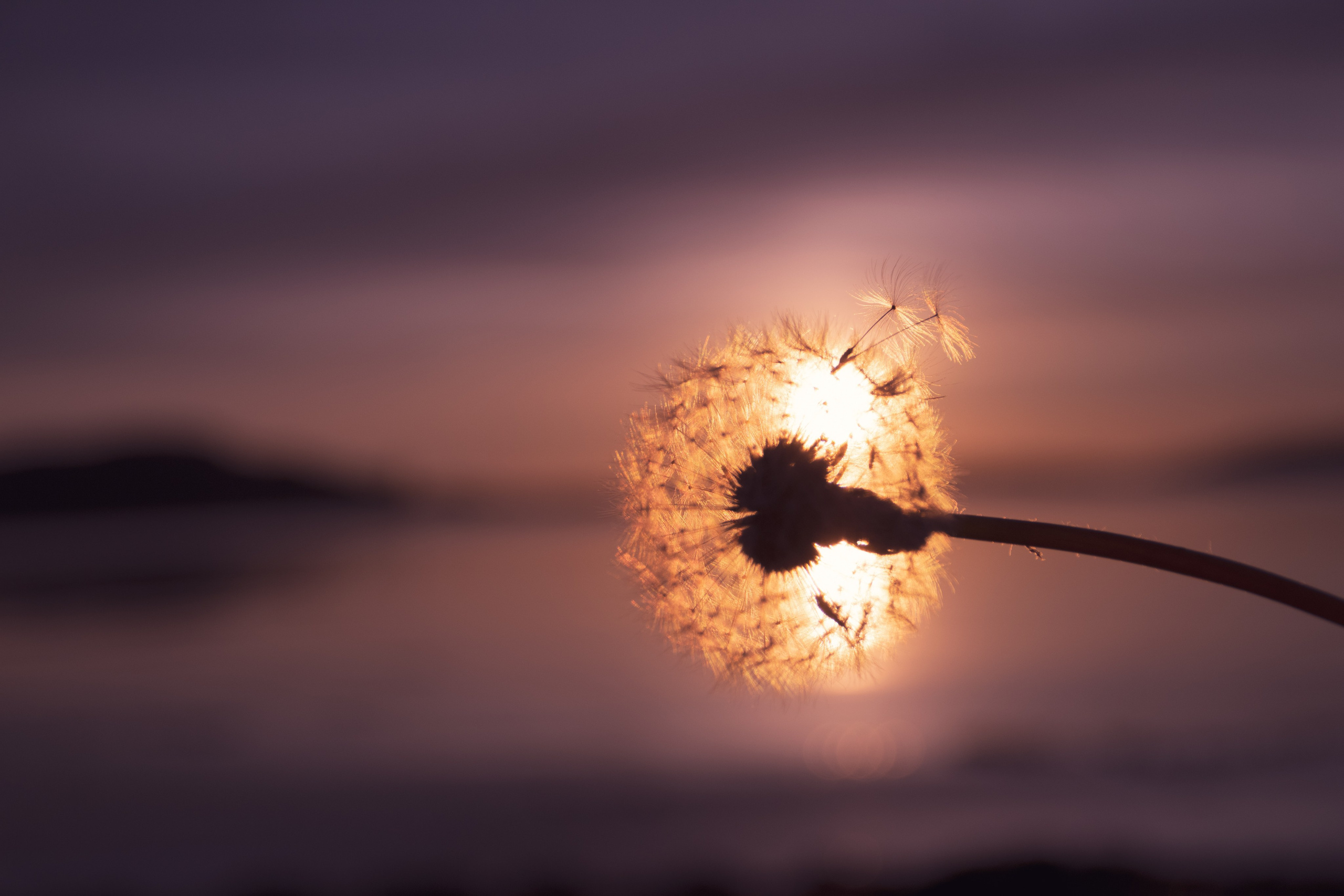 Portfolio. Photographer in Sotenäs municipality. Fotograf i Sotenäs kommun