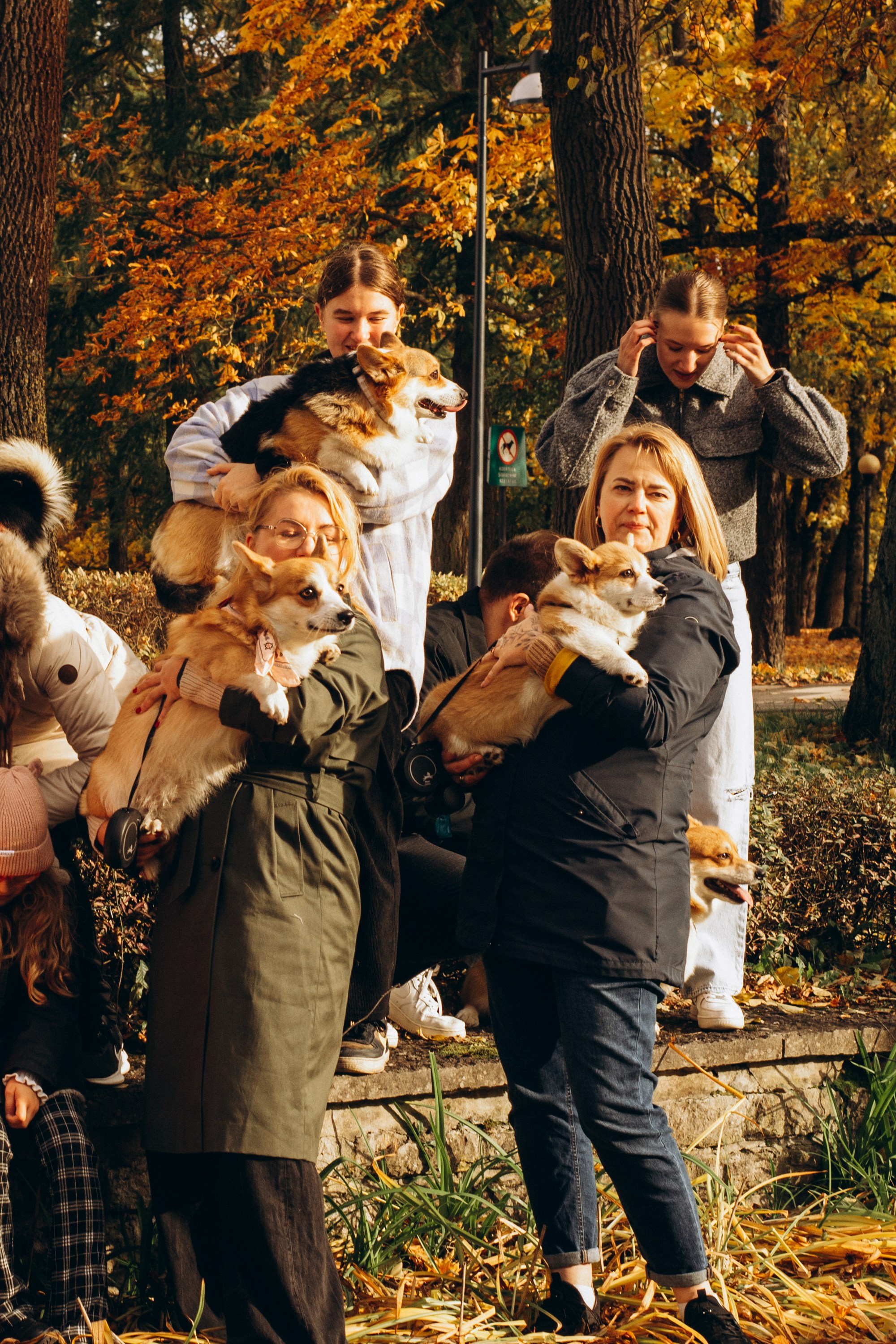 Corgi party, october. Kat Laisaar — Pet photographer in Tallinn