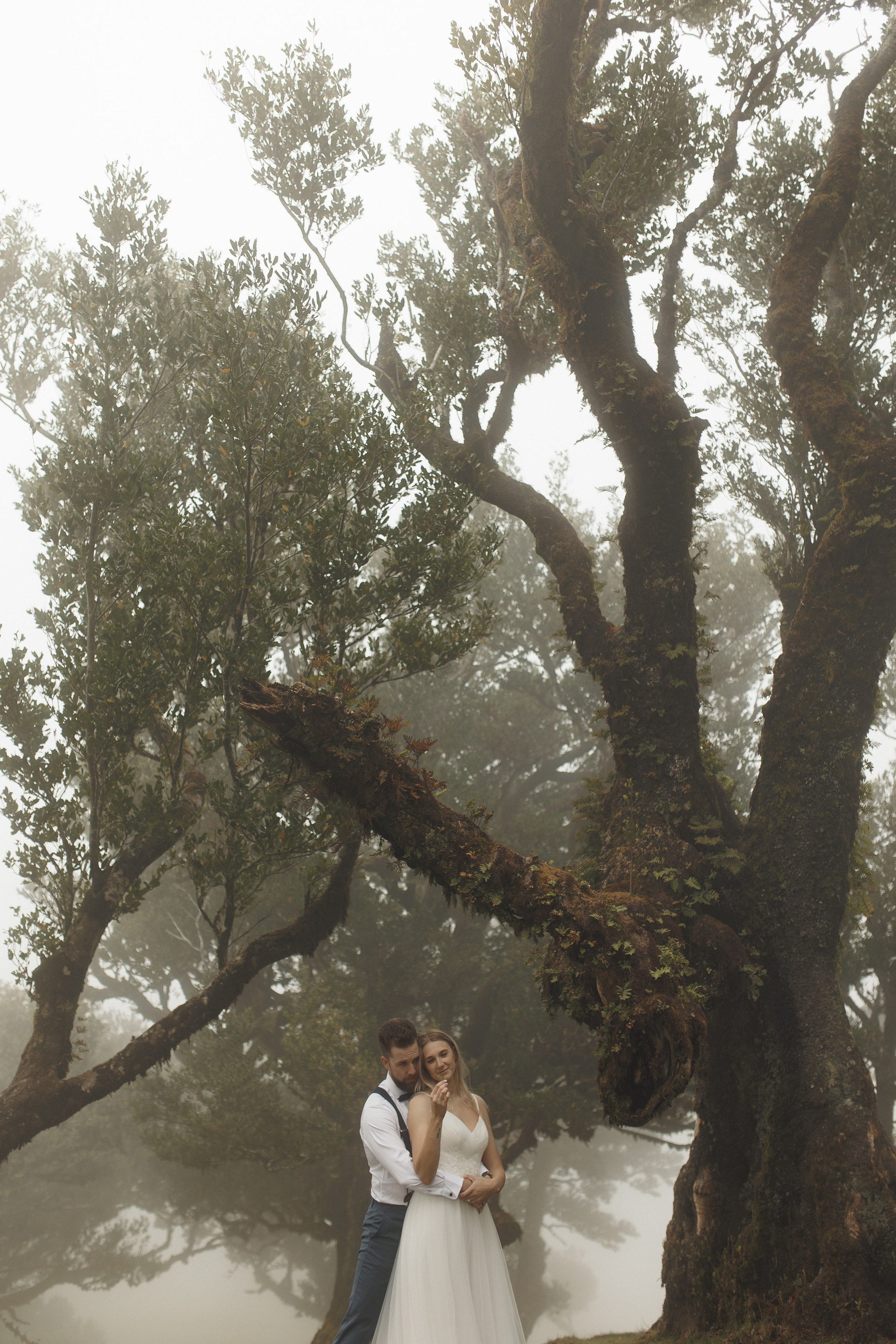 Elopement in Madeira | Mystical Forest of Fanal. Wedding photographer and videographer based in Timisoara, Romania