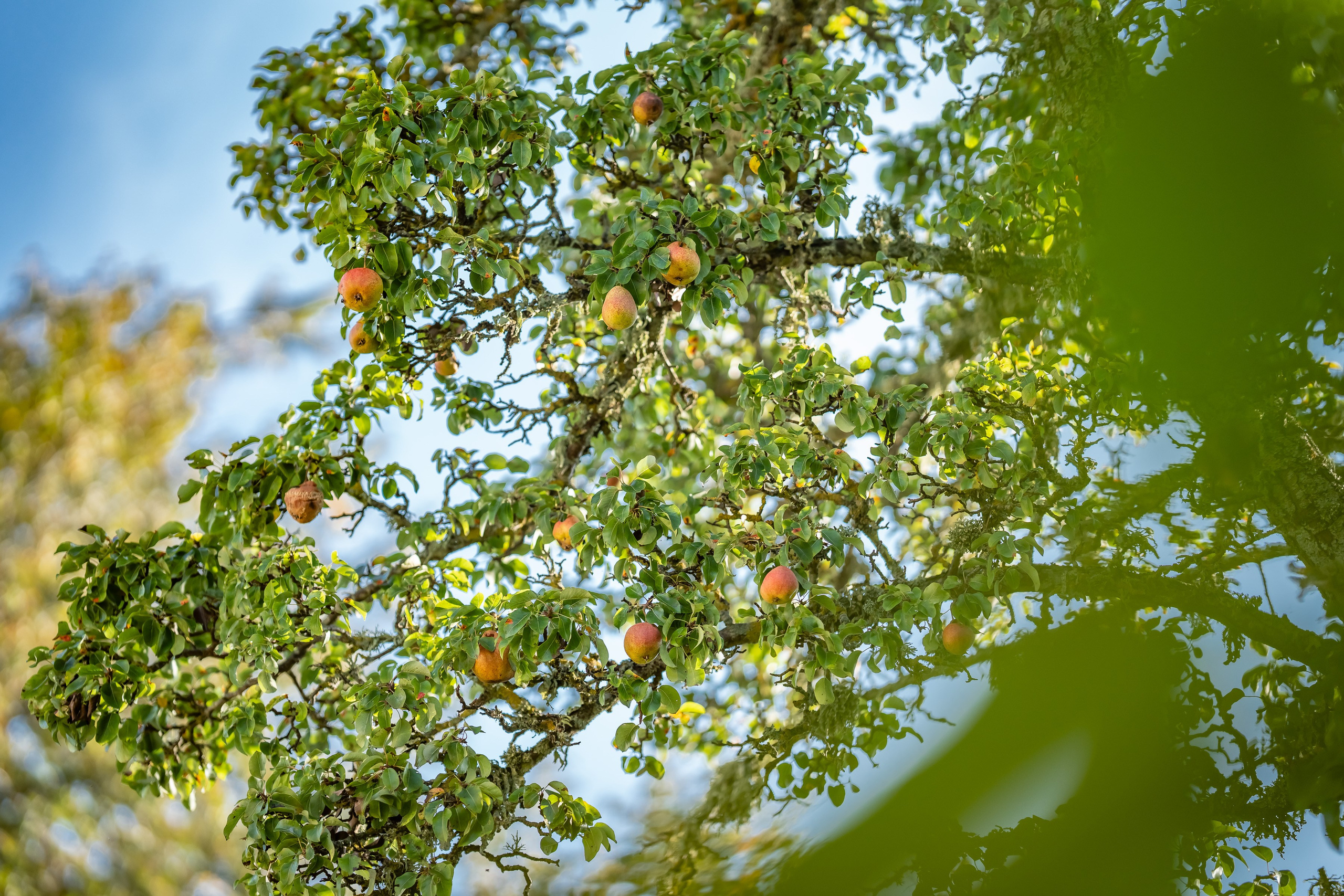 Дом у моря на продажу