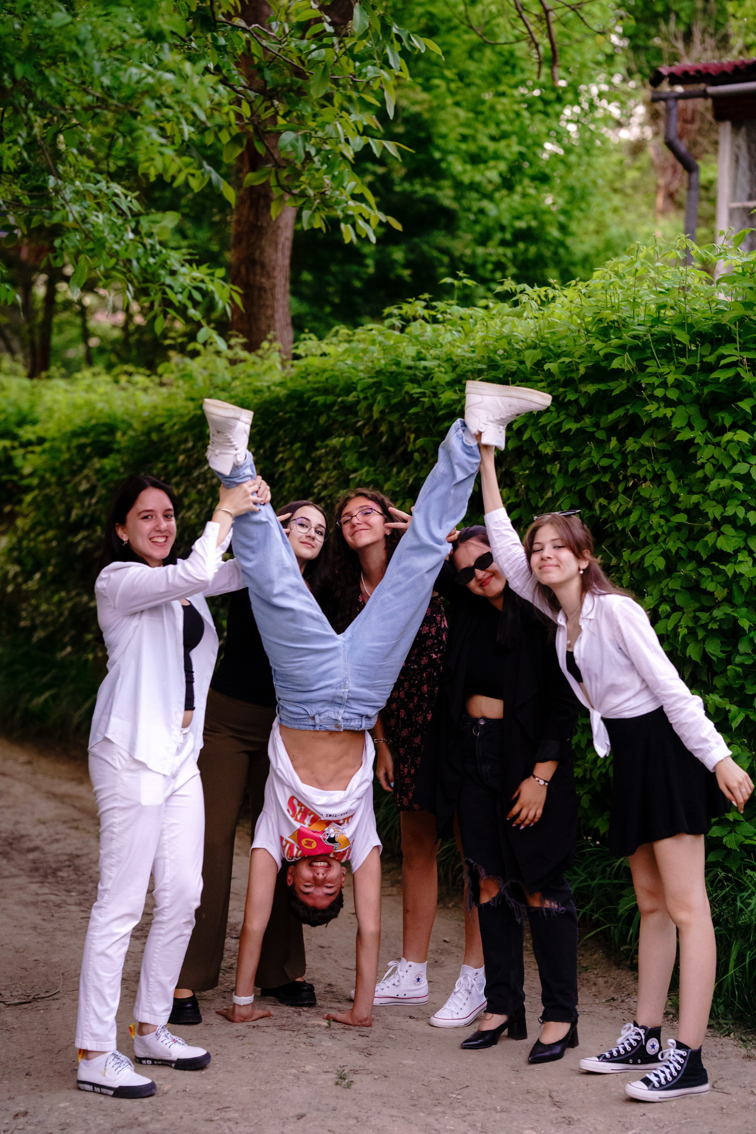 Distracție Gratuit. Trendy Albums