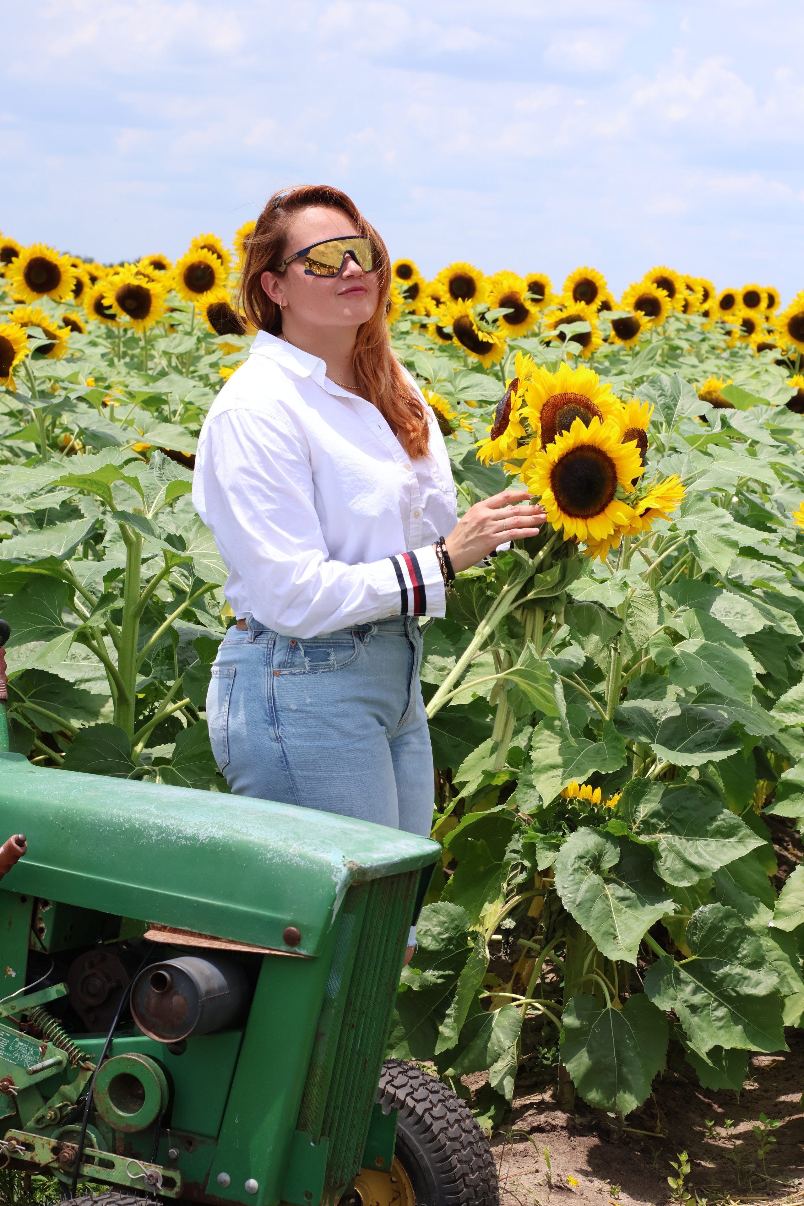 SUNFLOWERS. Workmakeapp Studio