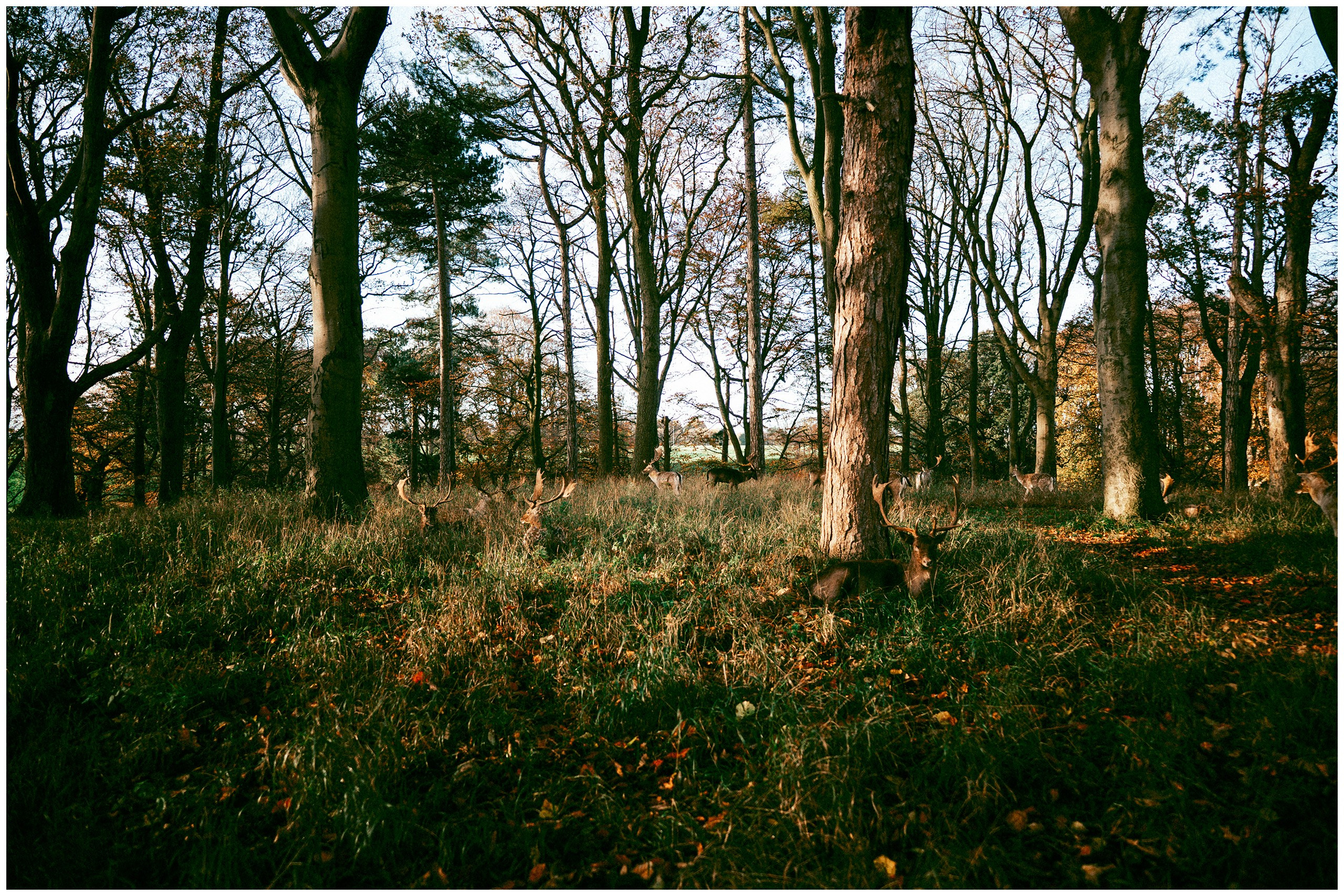 IRELAND. Inna Mendelson — Photographer