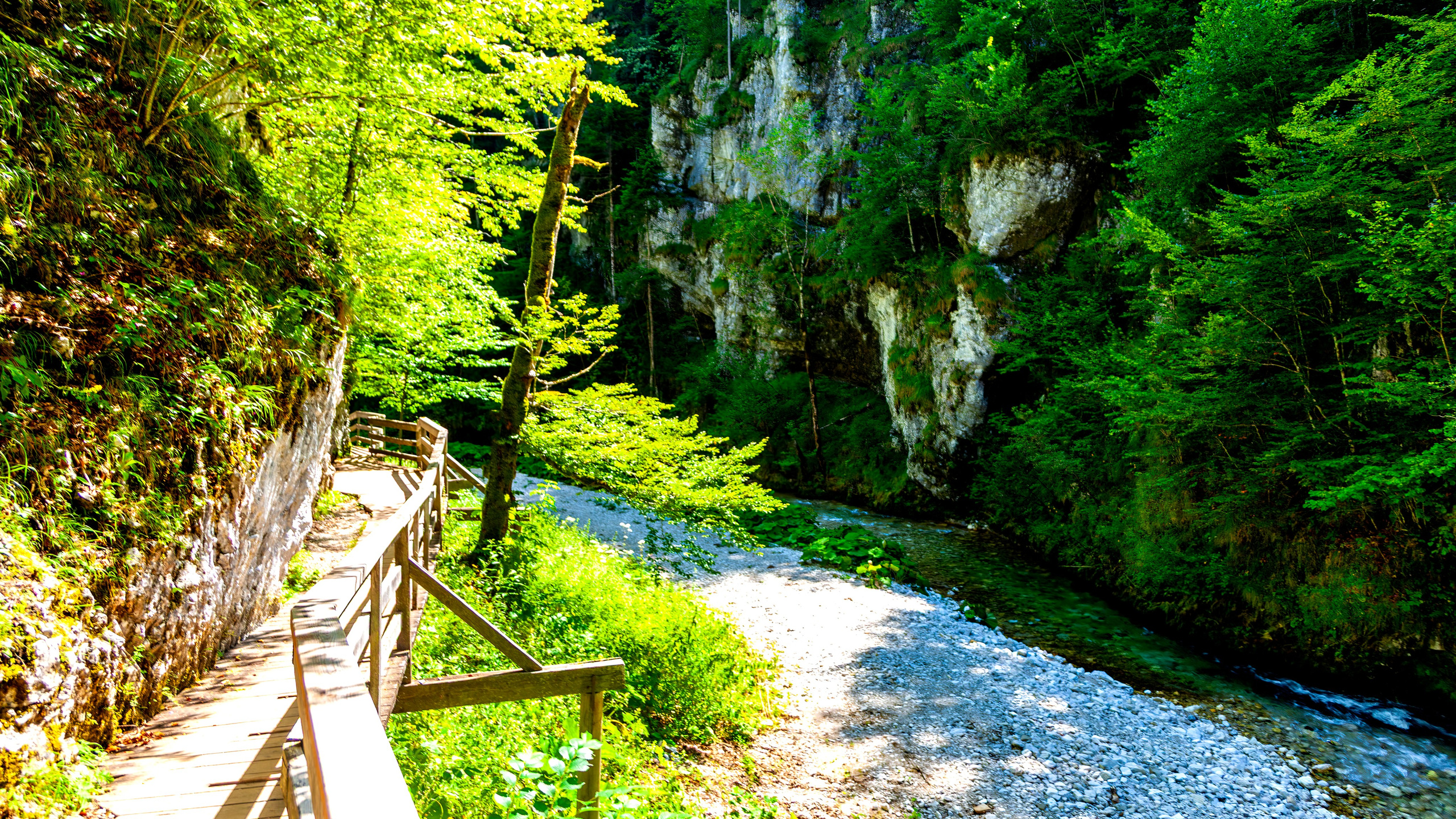 194.Mendlingtal.Austria.19.8.2025. Путешествия в формате 360......