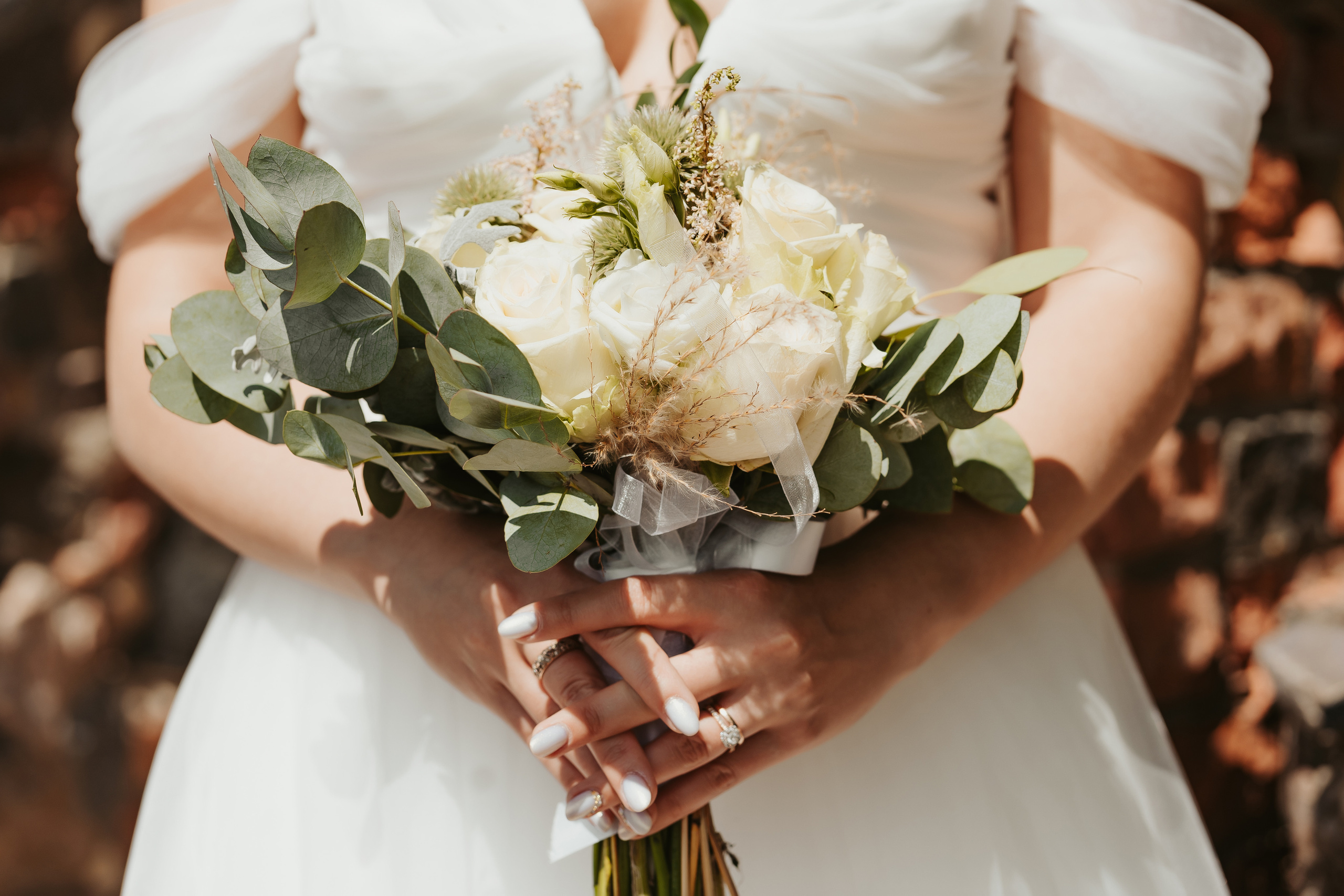 S&D. Montenegro photographer and videographer