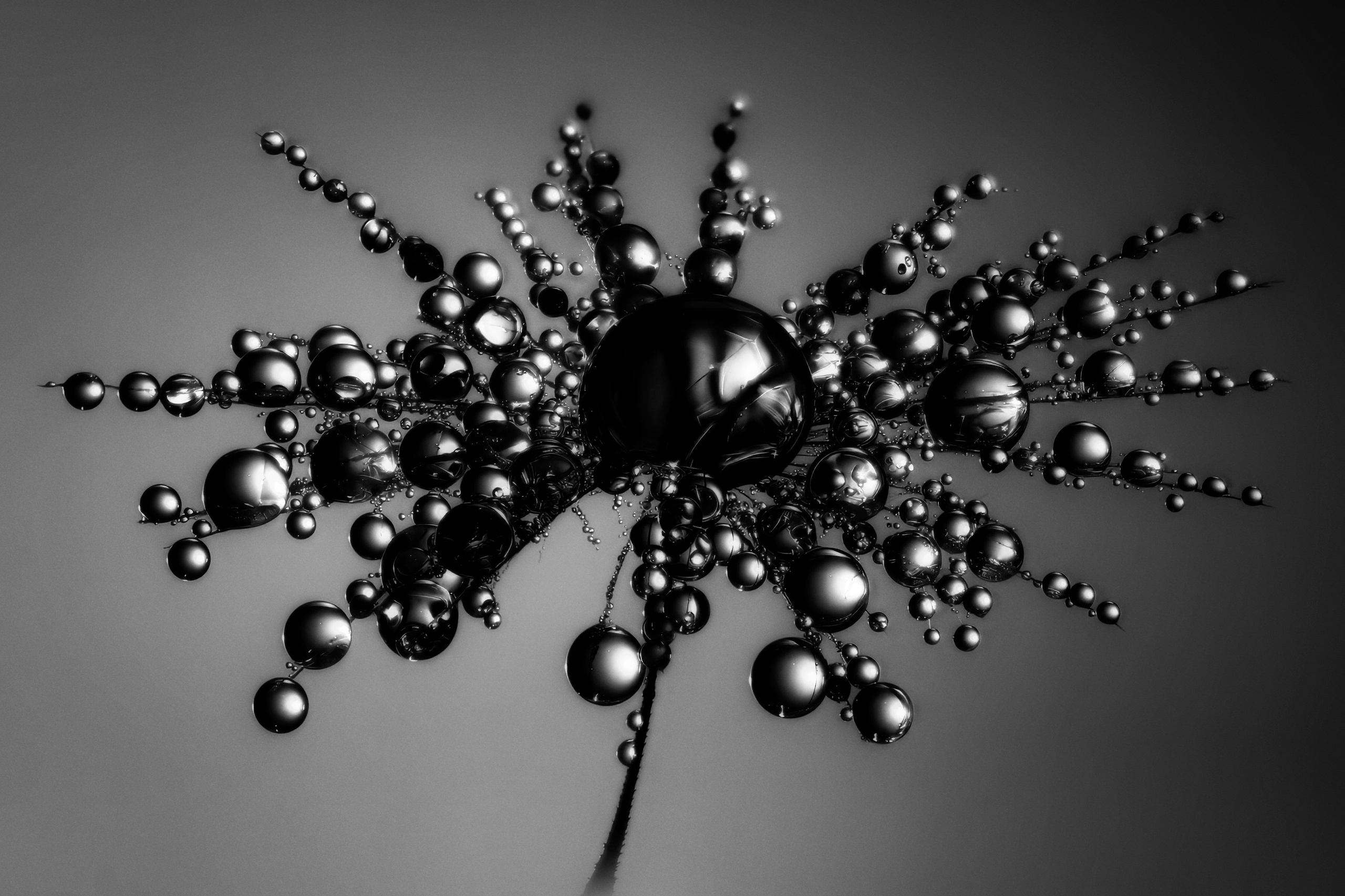 B & W. Tessa Matuza | Constructed Fine Art Photographer & Mixed Media Artist
