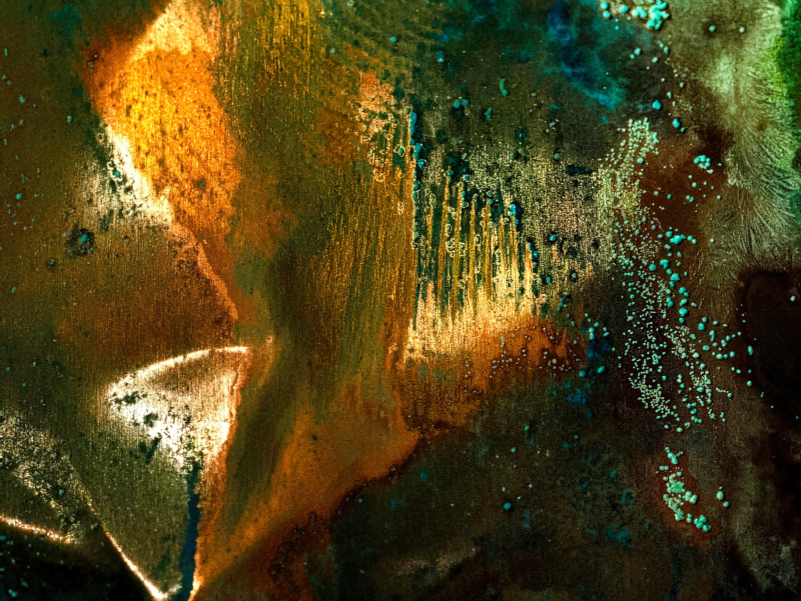 Constructed Fine Art Macro. Tessa Matuza | Constructed Fine Art Photographer & Mixed Media Artist