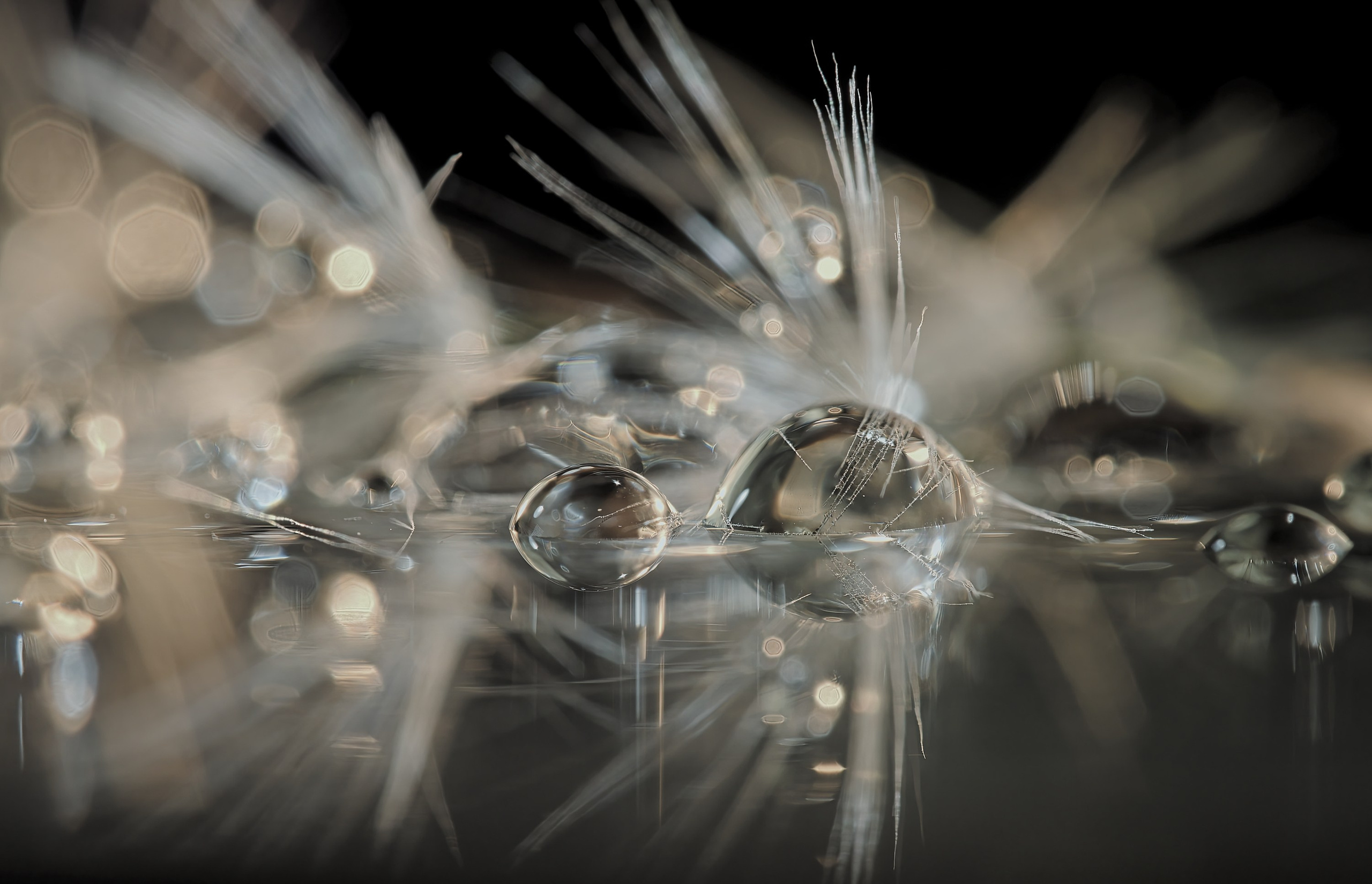 Tessa Matuza | Constructed Fine Art Photographer & Mixed Media Artist
