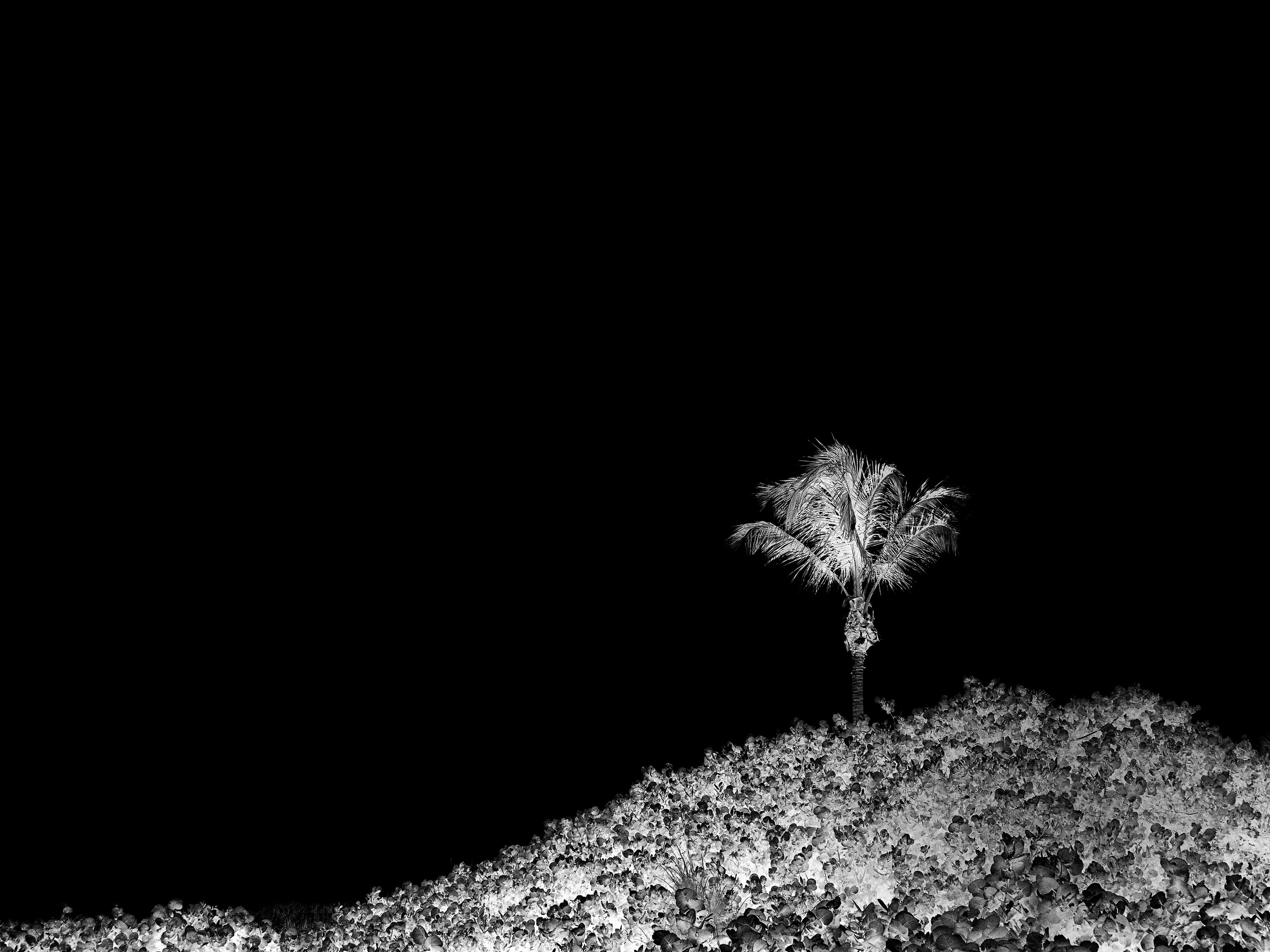 B & W. Tessa Matuza | Constructed Fine Art Photographer & Mixed Media Artist