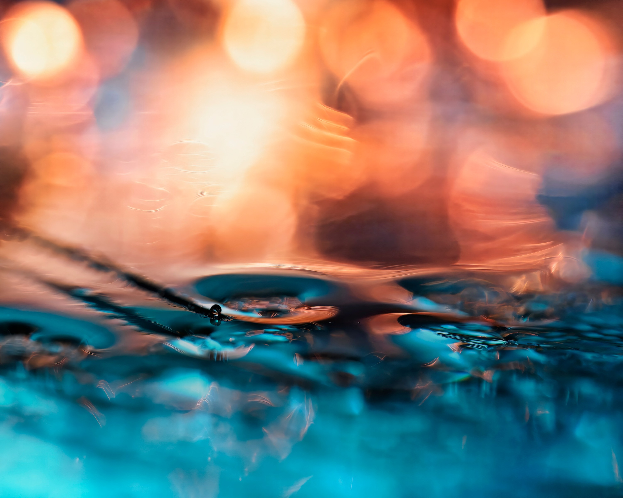 Constructed Fine Art Macro. Tessa Matuza | Constructed Fine Art Photographer & Mixed Media Artist