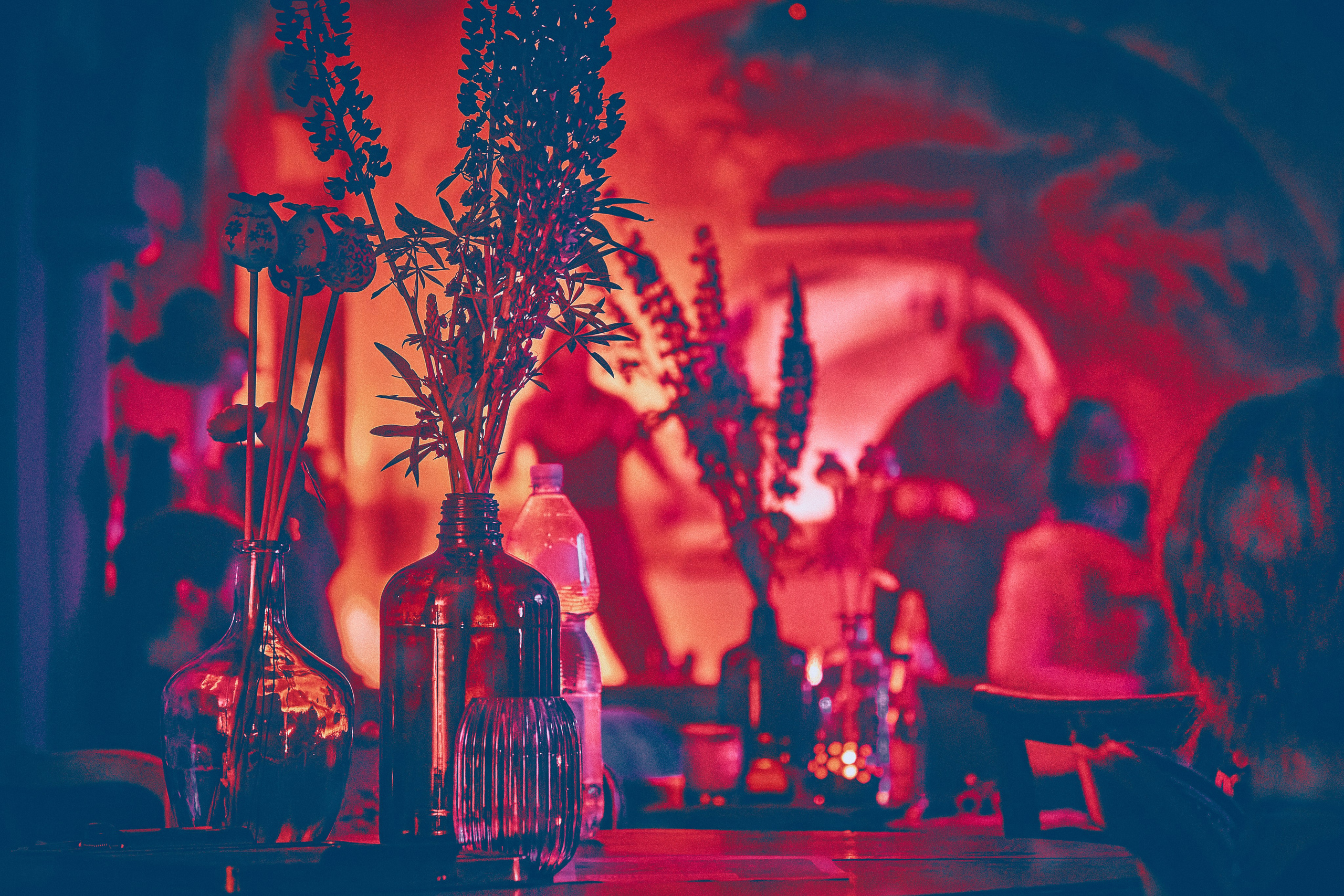 Первый День рождения Бирюзового Острова (Turkusowa Wyspa). Андрей Шипилов — Фотография & Видеография