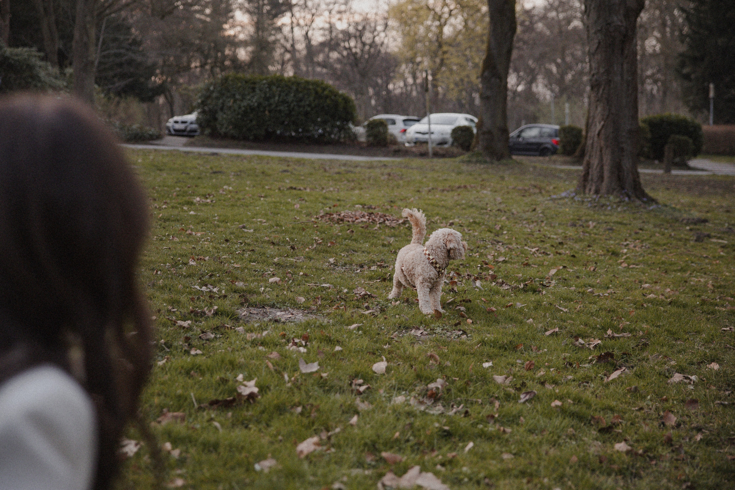 Morena & Niklas I Haus Hohenstein. Hochzeitsfotografin Bochum | Halyna Reiche Fotografie NRW