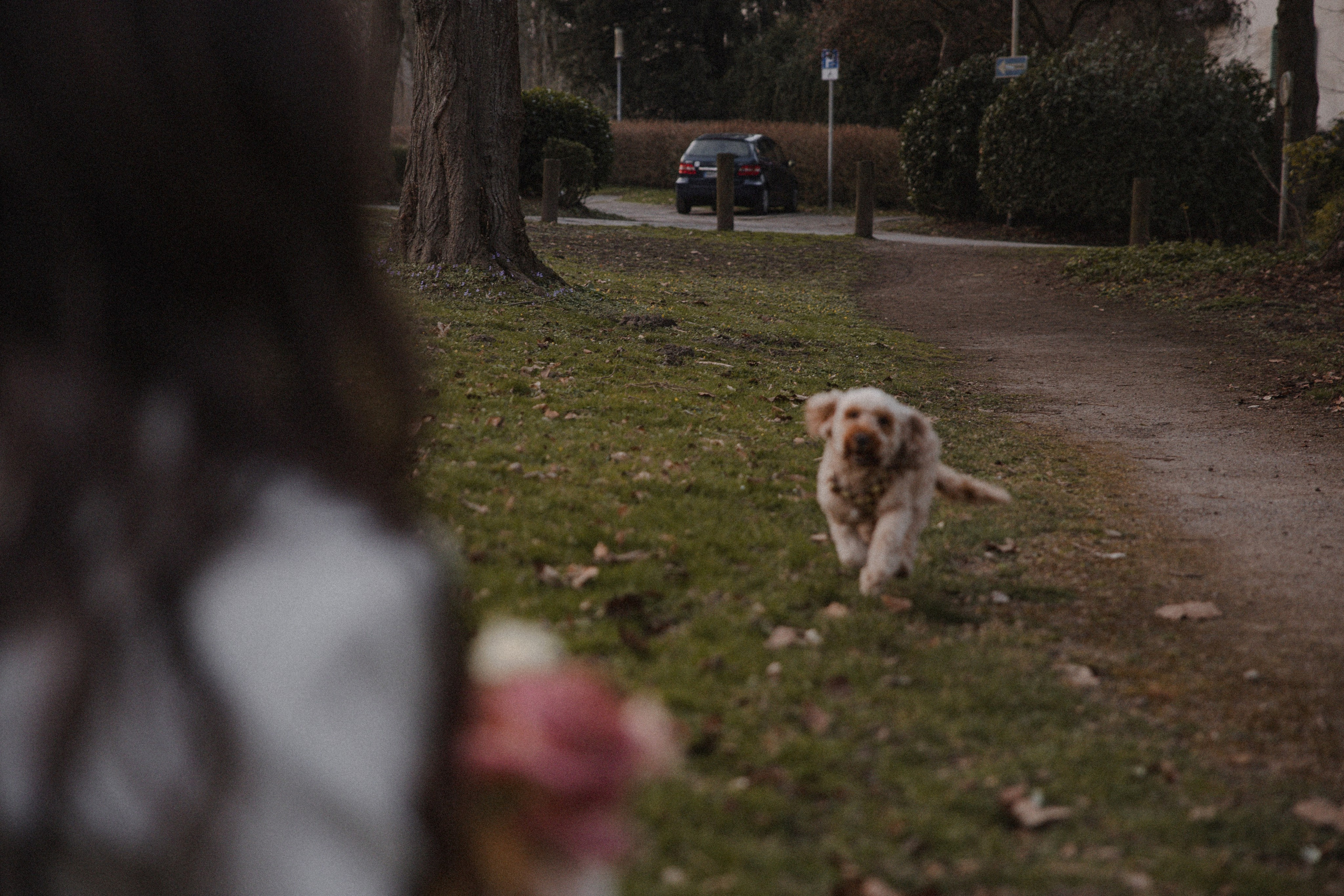 Morena & Niklas I Haus Hohenstein. Hochzeitsfotografin Bochum | Halyna Reiche Fotografie NRW