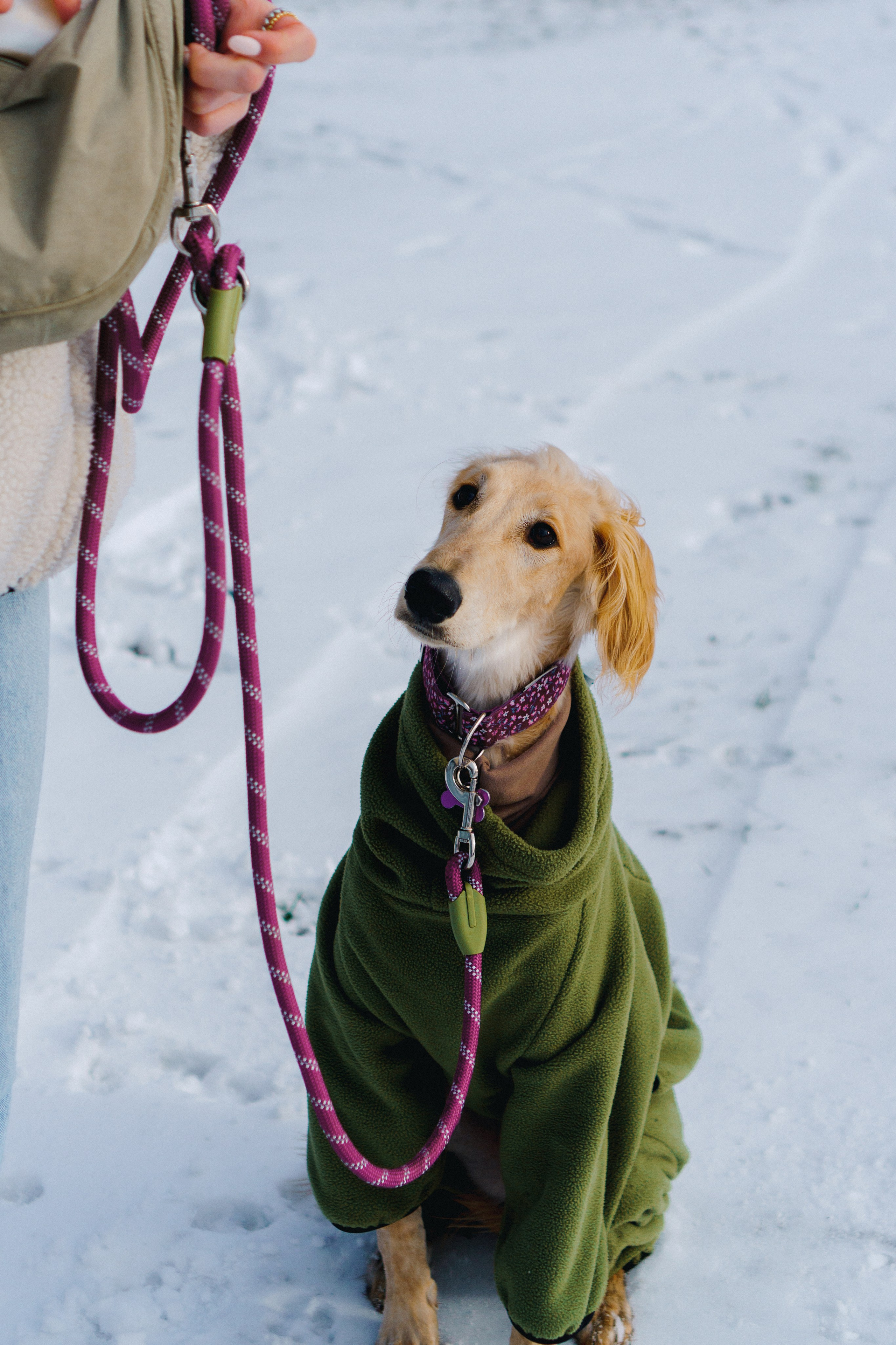 Nicole & Sky. Kat Laisaar — Pet photographer in Tallinn