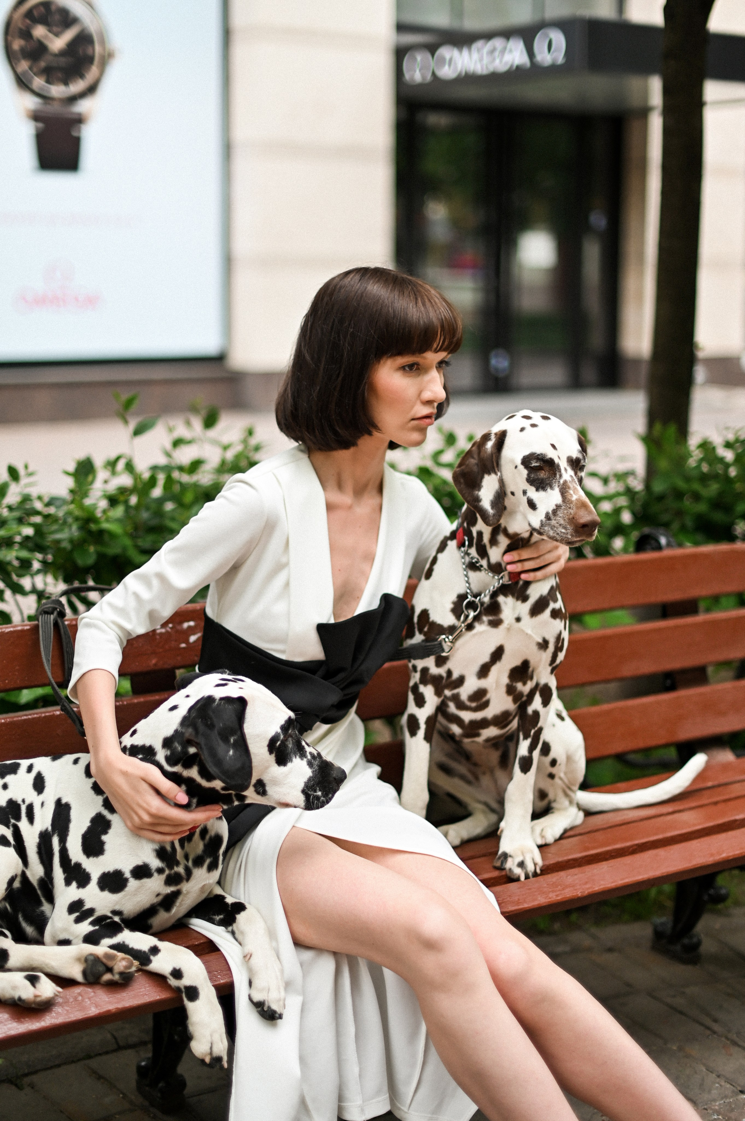 История с далматинцами. Детский и семейный фотограф в финляндии дина пулкка. контент фотограф
