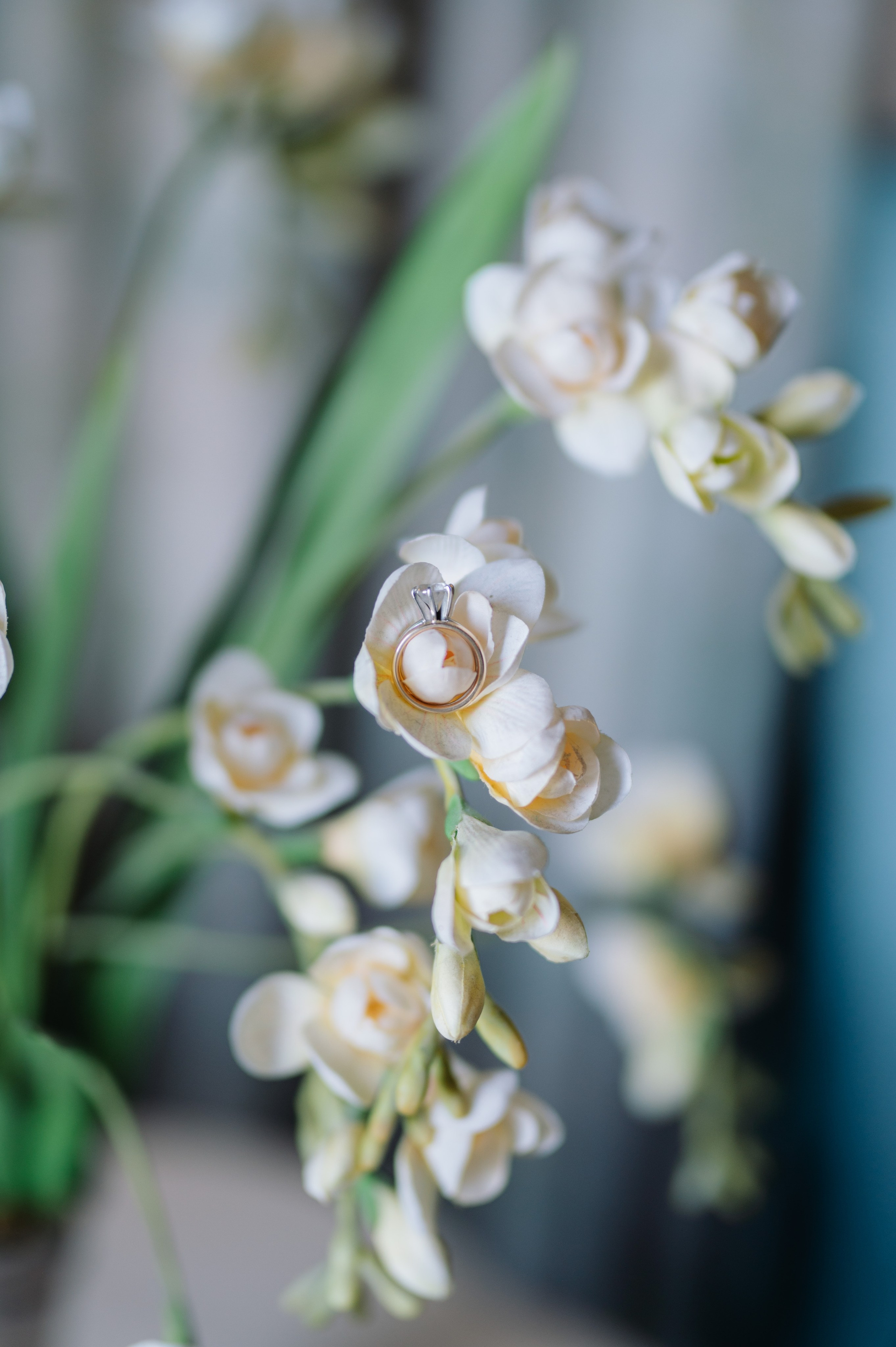 Dave and Lara – Wedding at Whitby Castle, New York