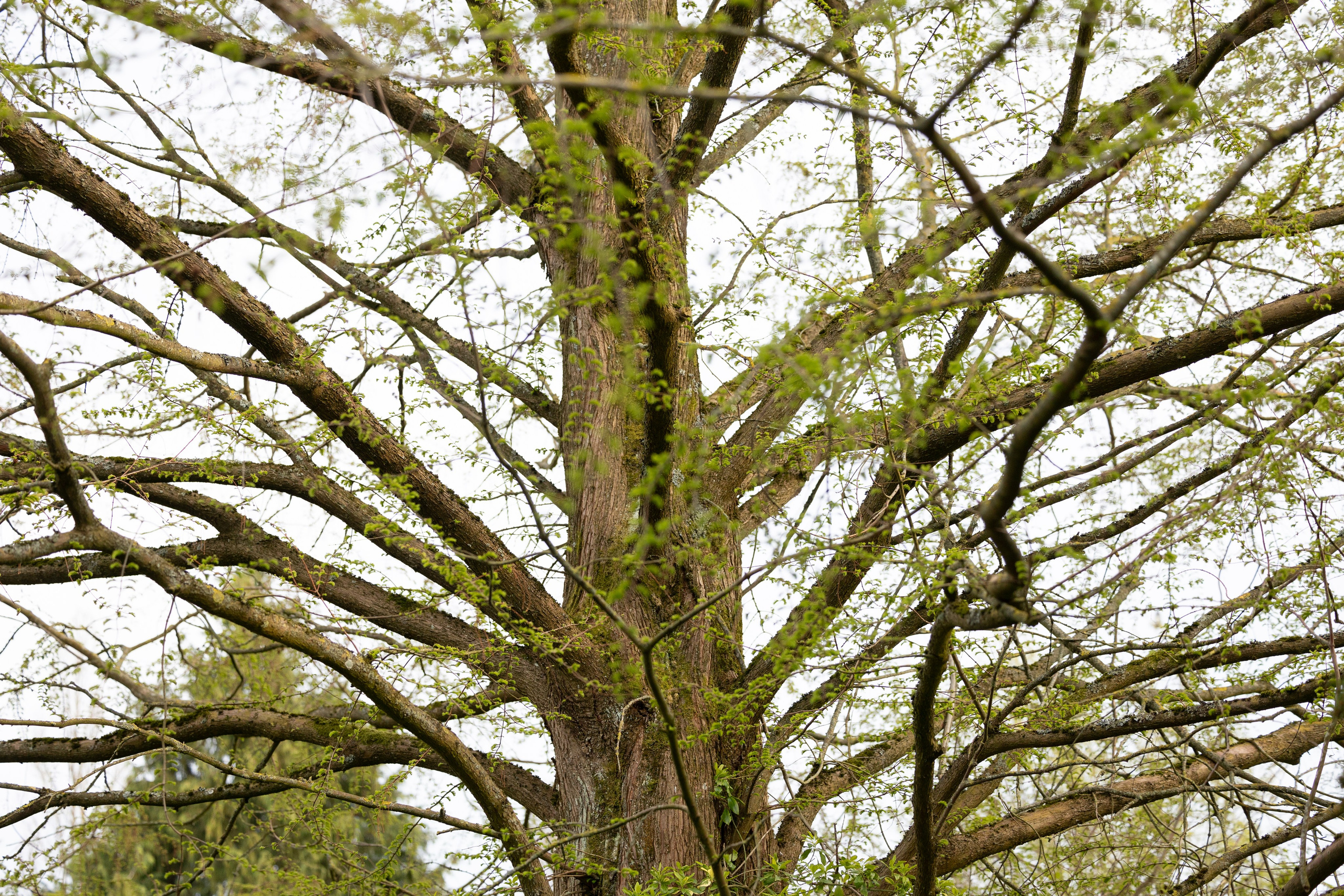 Forår. Fotograf Aarhus | Portrætfoto Århus | Flotte billeder