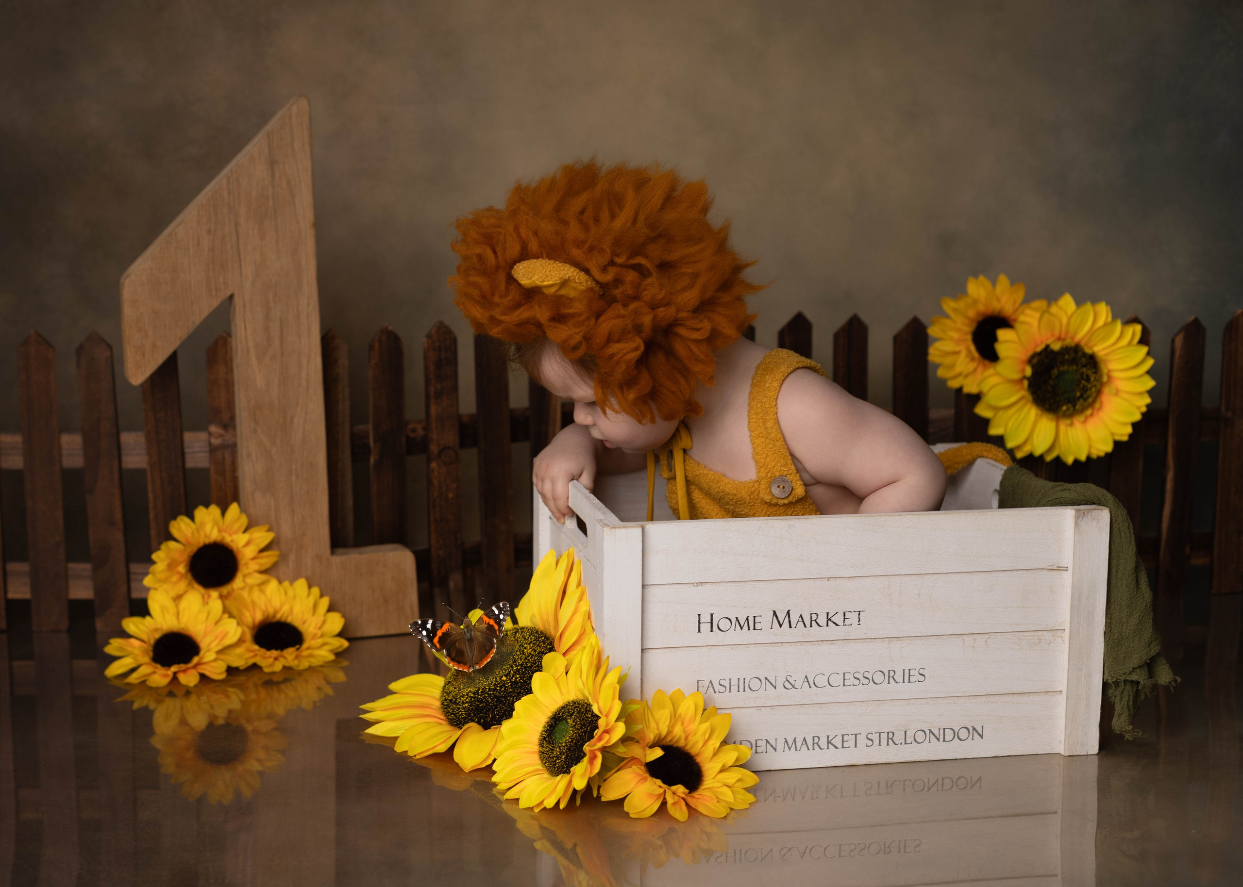 Каталог 12 годик. Катерина Шустерман — фотограф Newborn, семейный в Израиле