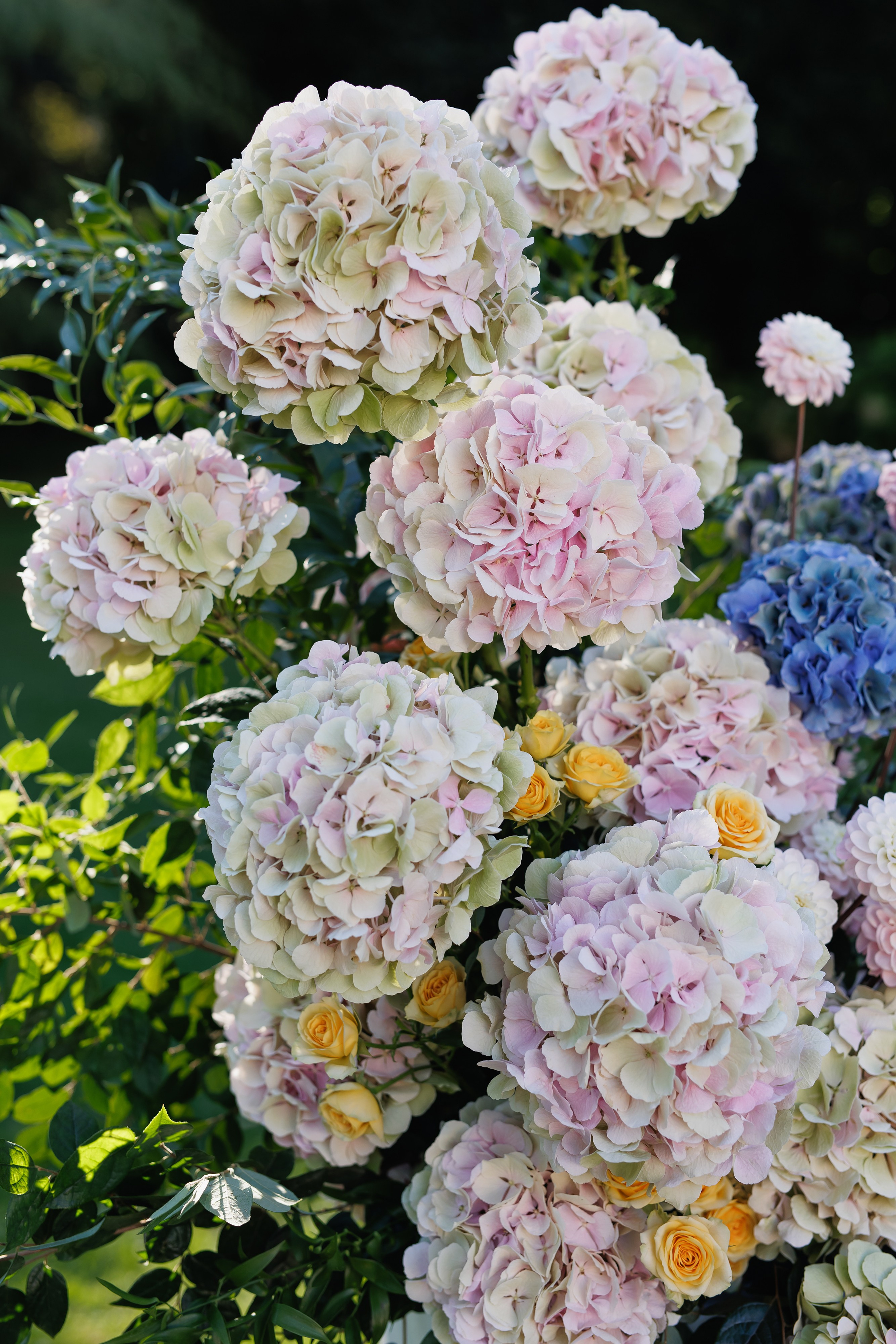 Wedding Photographer Lake Maggiore Como Italy. Wedding Photographer Rome Tuscany Como Sicily Puglia Amalfy Italy- Oksana Savenchuk