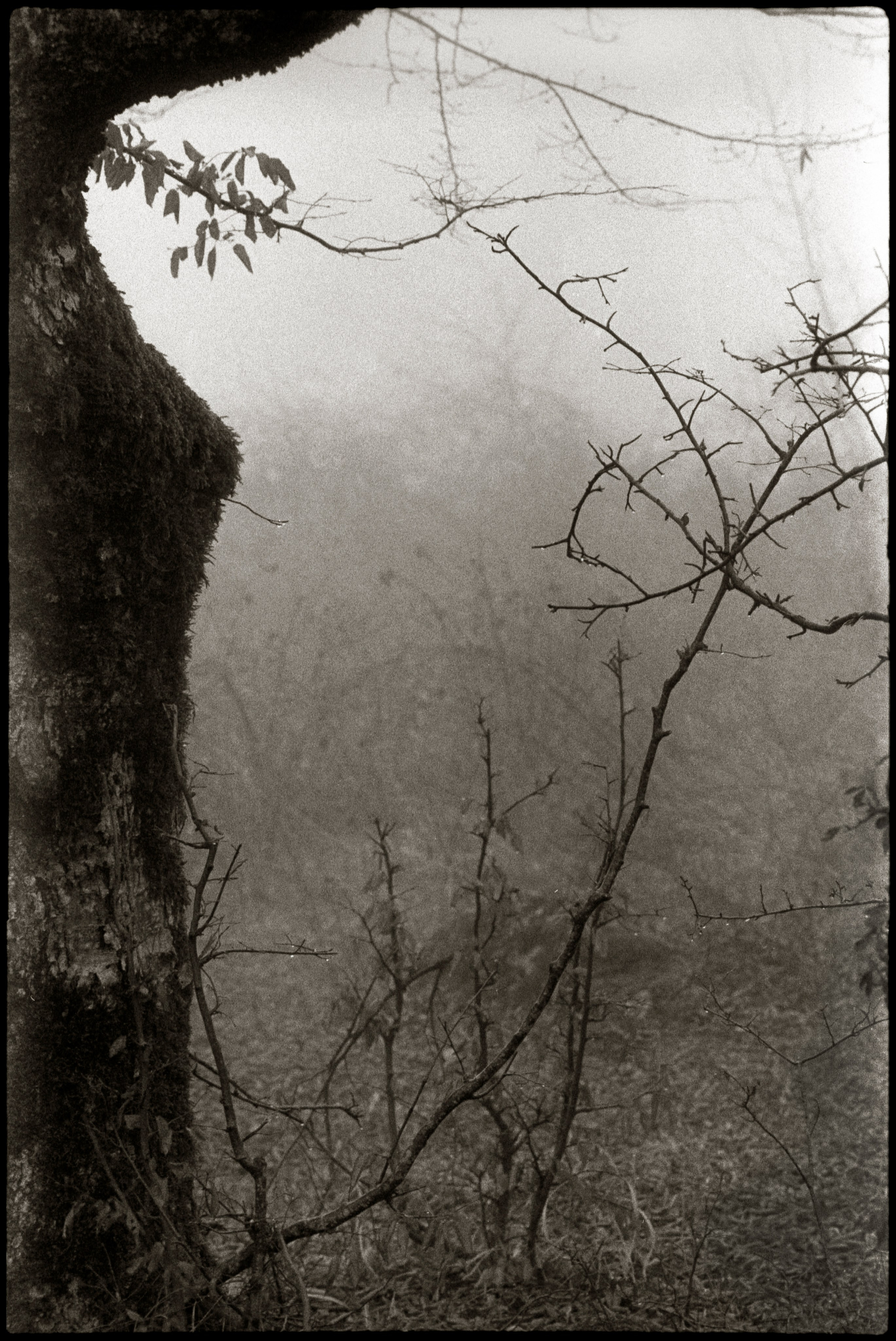 NATURE. Www.sananphotography.com