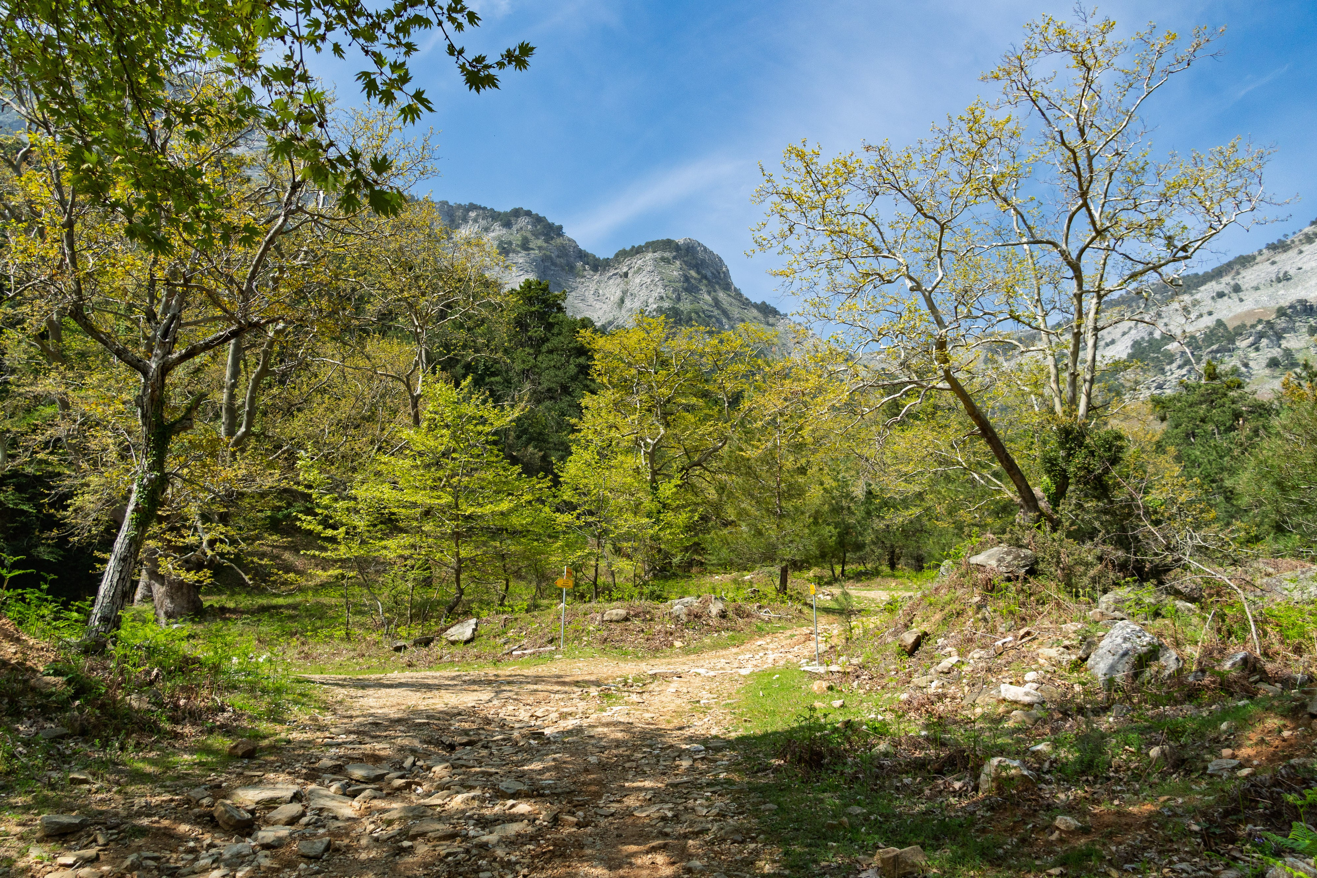 Thasos 2025. Fotografiideplacere.net
