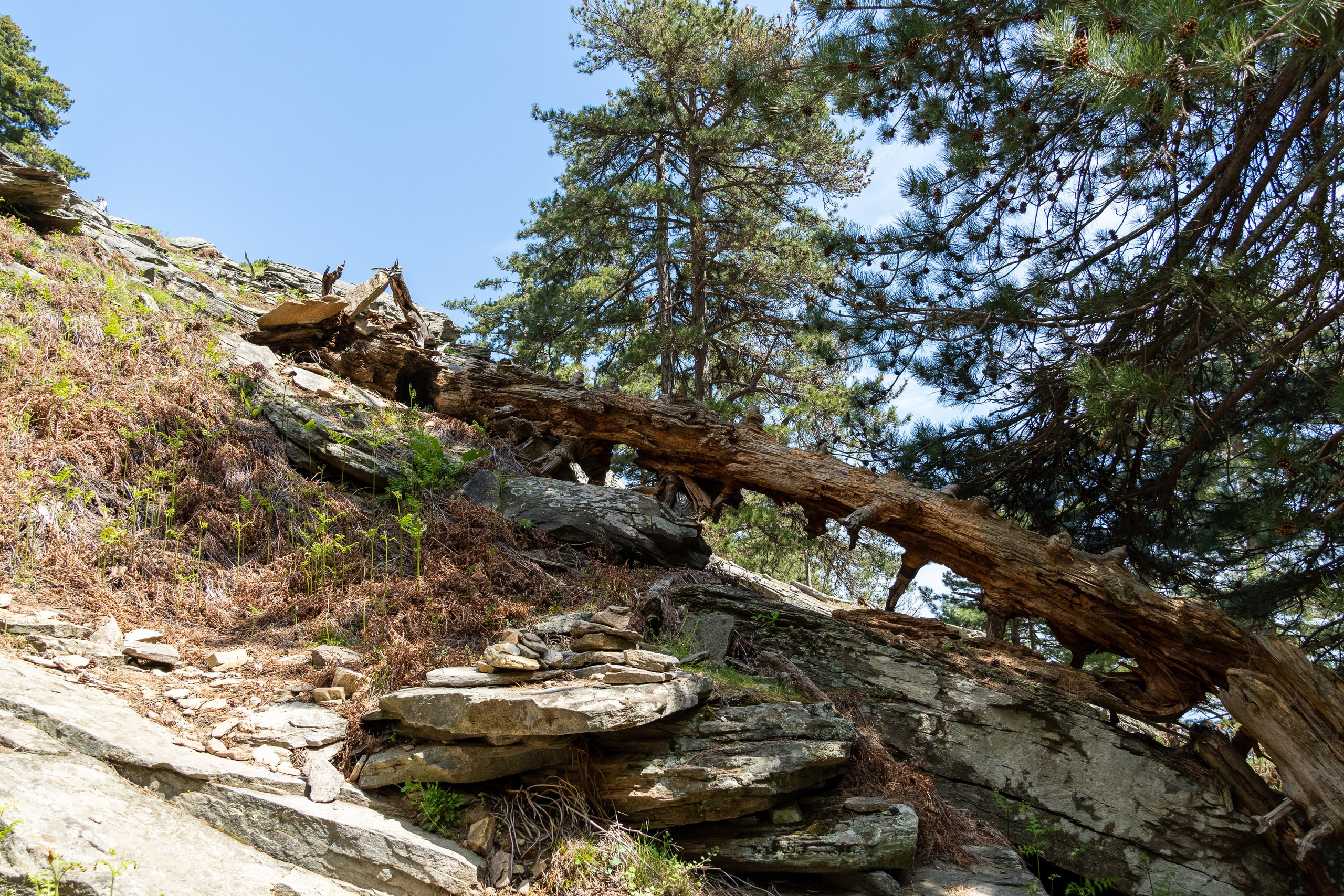 Thasos 2025. Fotografiideplacere.net