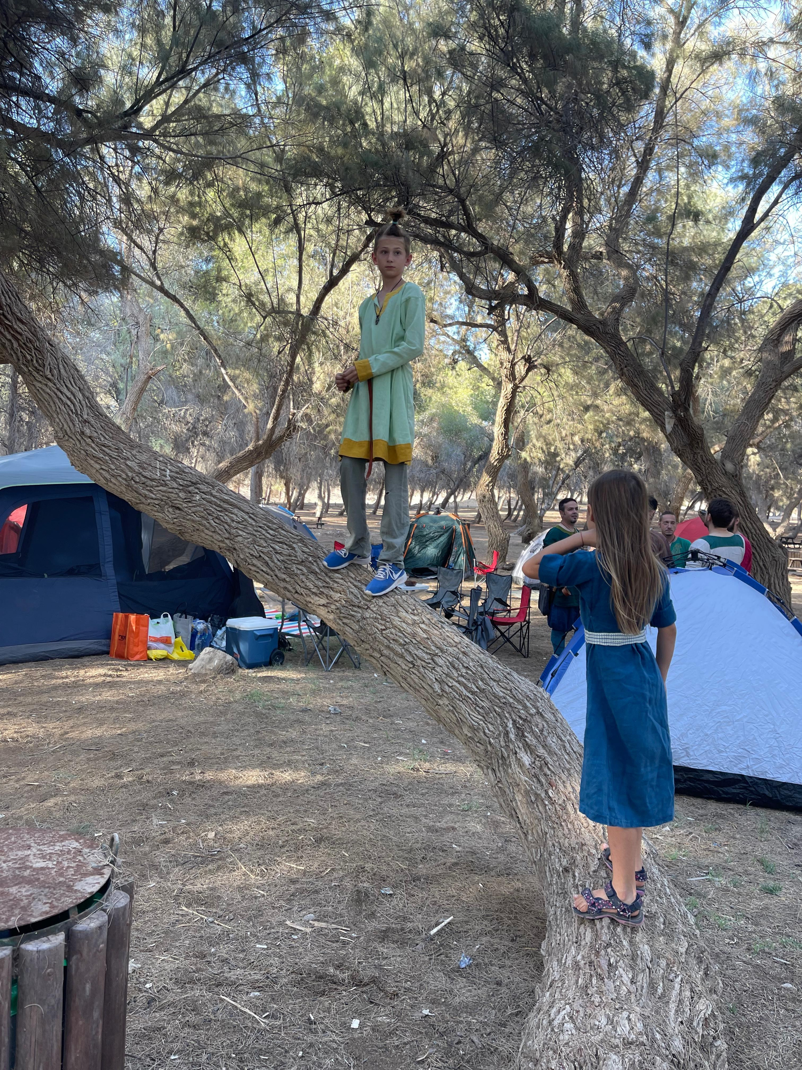 Лита 2024 — фестиваль реконструкции викингов | Клуб Нортман. КРиС «Нортман»