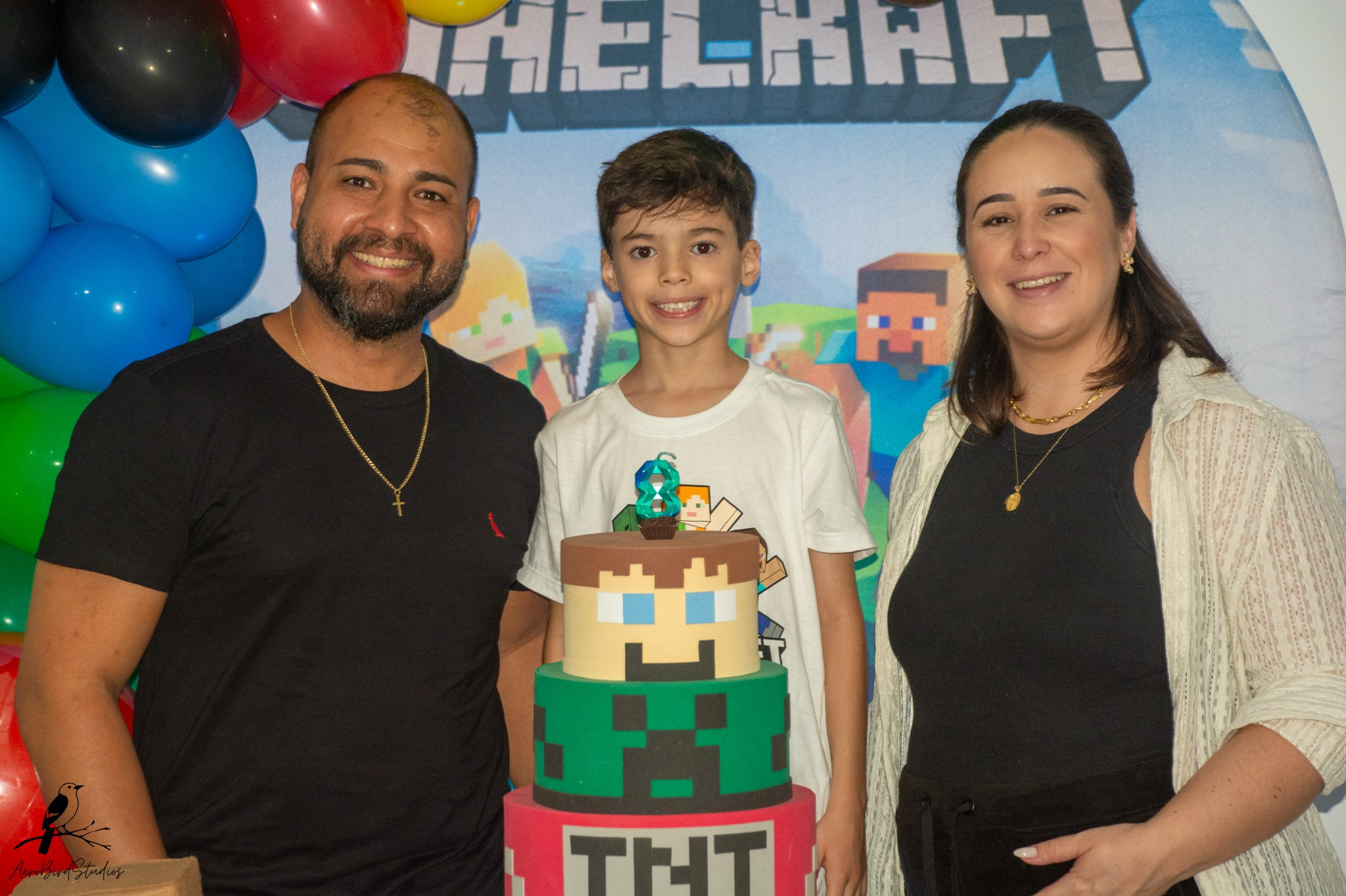 Leonardo 8 ano. AerobirdStudios