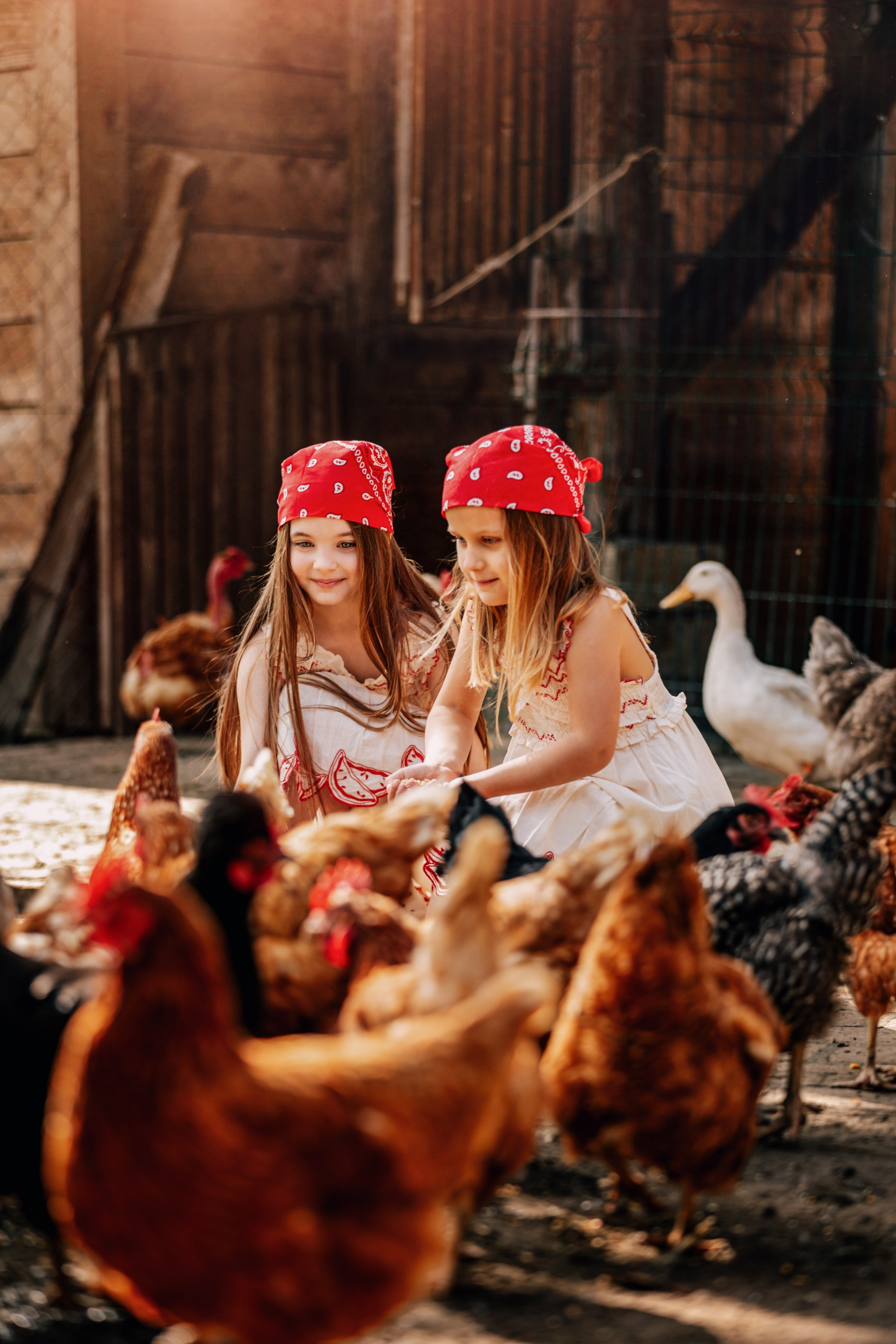 DEČIJA FOTOGRAFISANJA. Fotografi iz Backog Petrovca David i Andrea Stojanovic