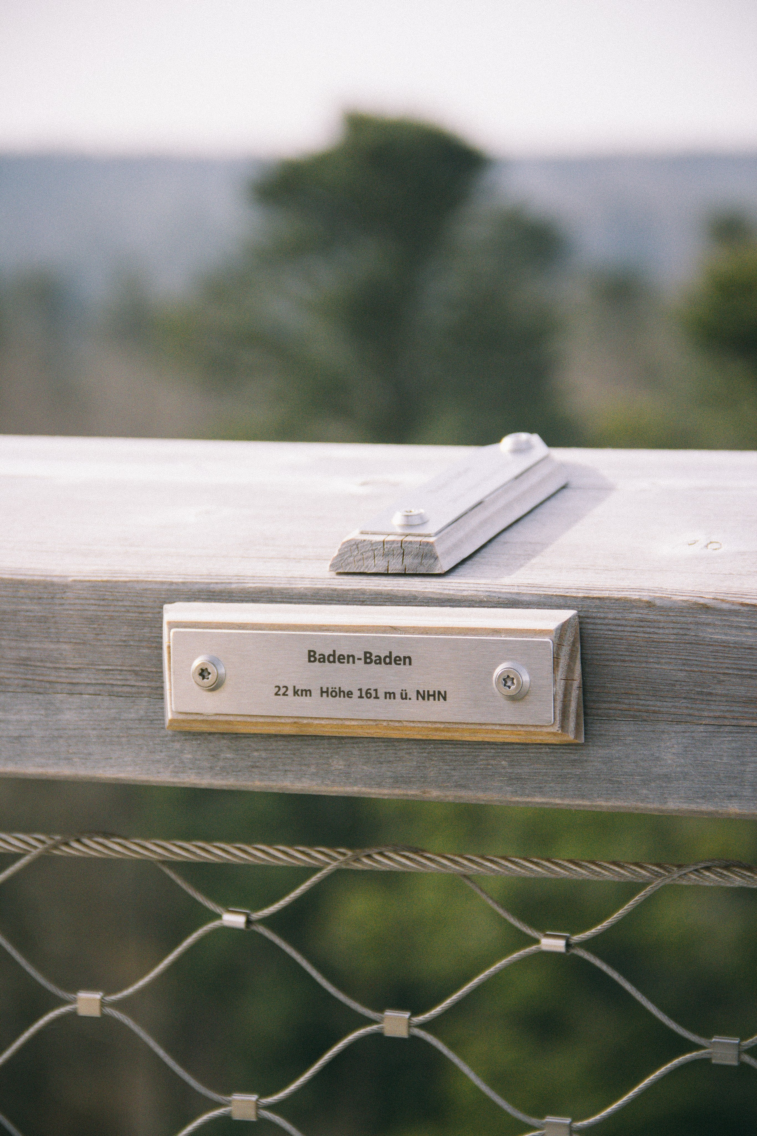 Baumwipfelpfad in Bad Wildbad. Maria Chistyakovа — Fotografin in Karlsruhe, Baden-Baden und Umgebung