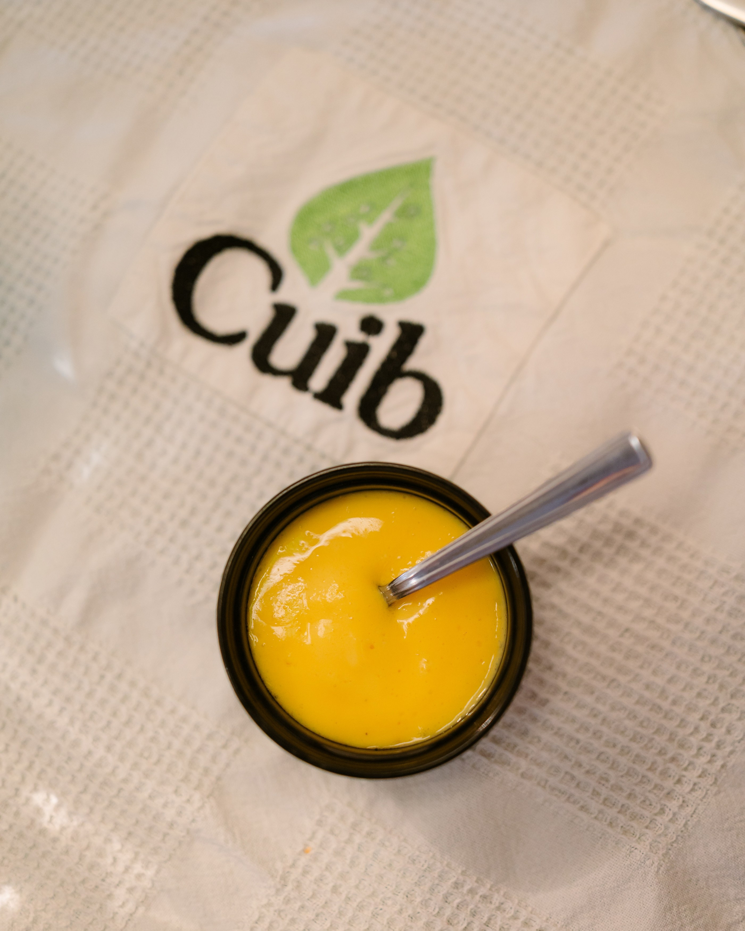 Indus at CUIB. Marius Ciocan