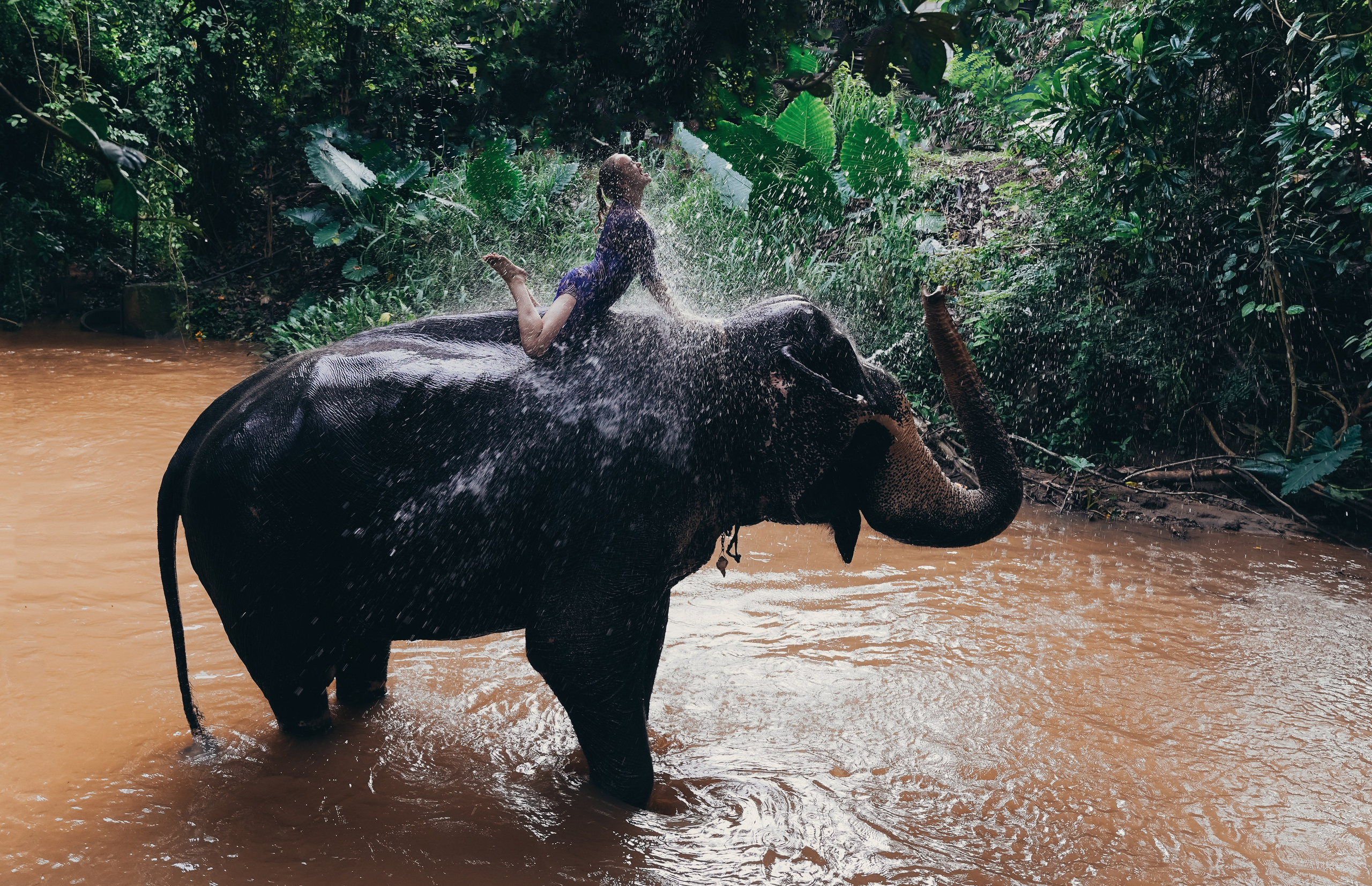 Фото туры на Шри Ланке. Фотограф на Шри Ланке