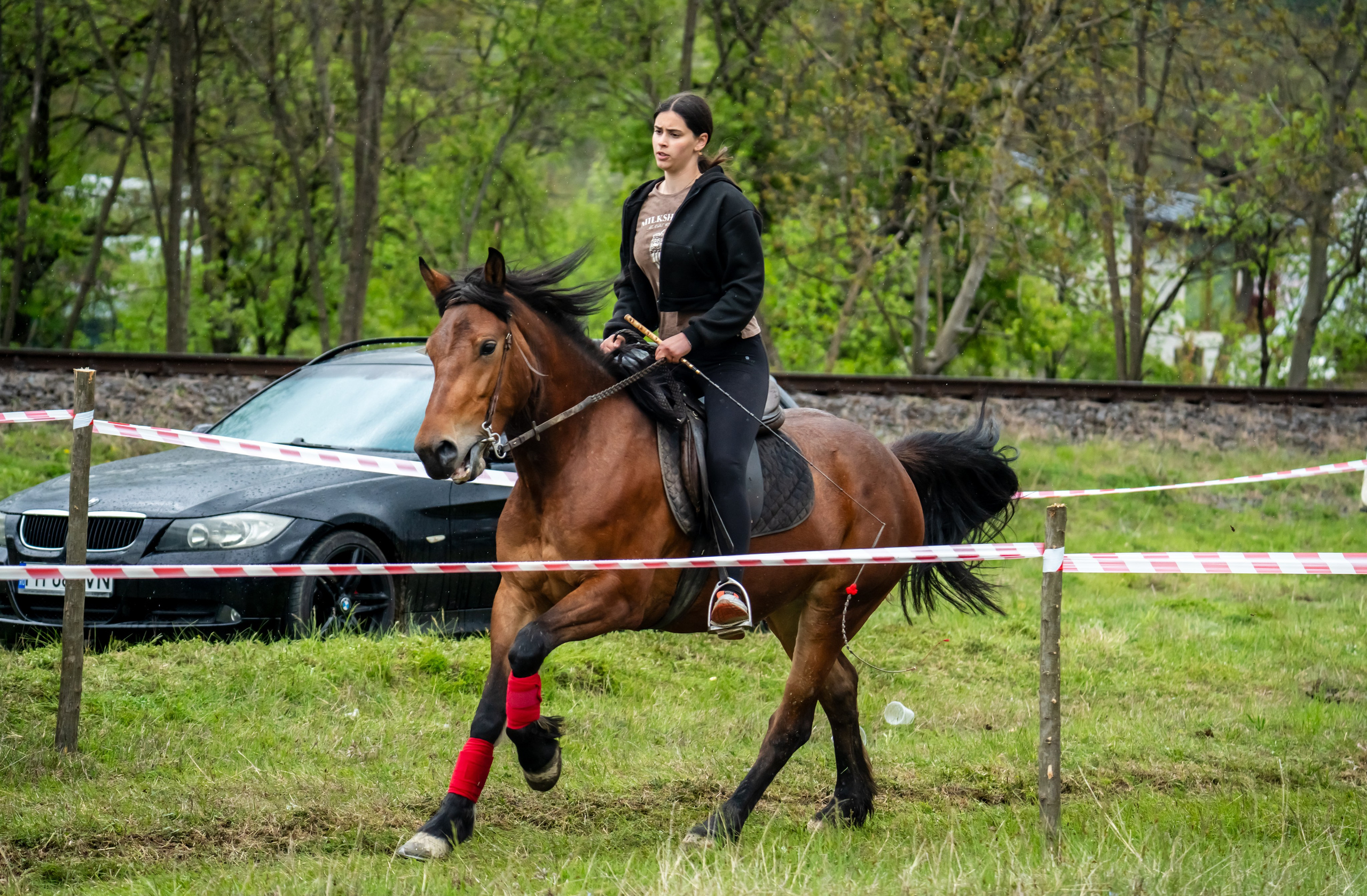 Concurs Ecvestru Vărbilău ediția a 4-a. Mihai Alexandra Events