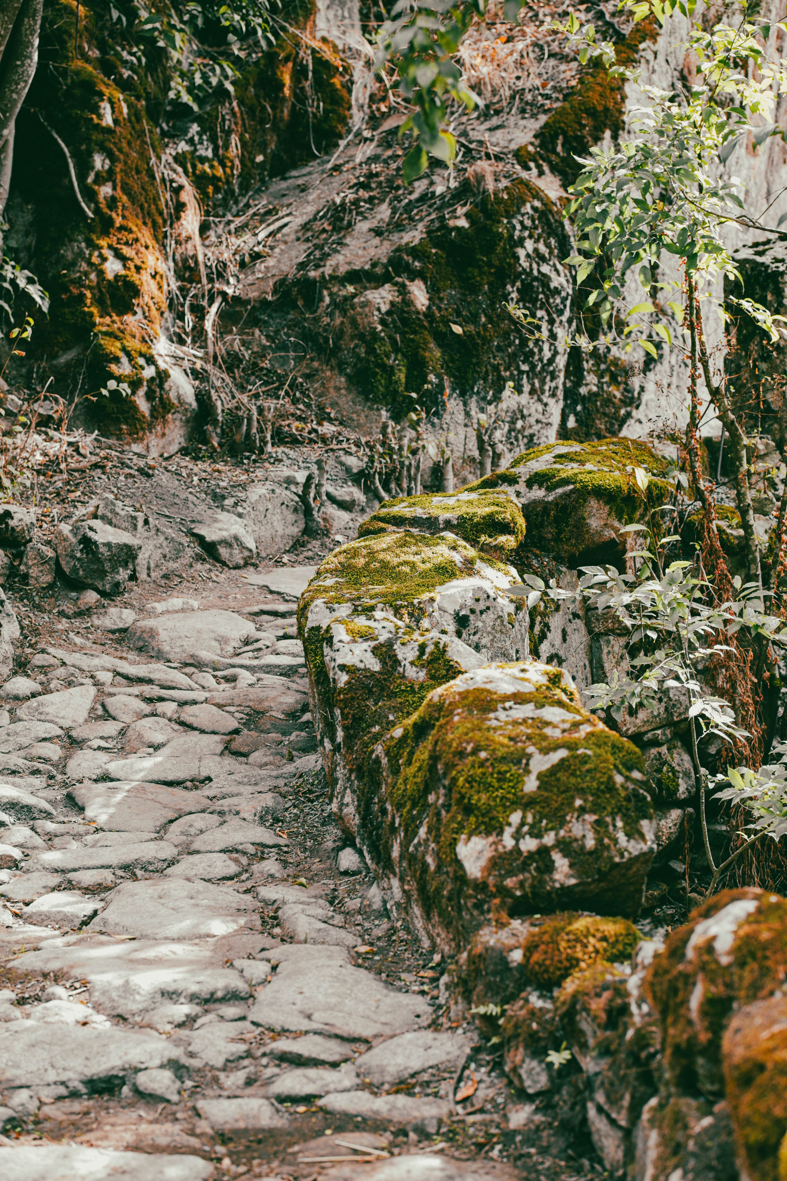 TRAVEL. REC21Films audiovisuals productions