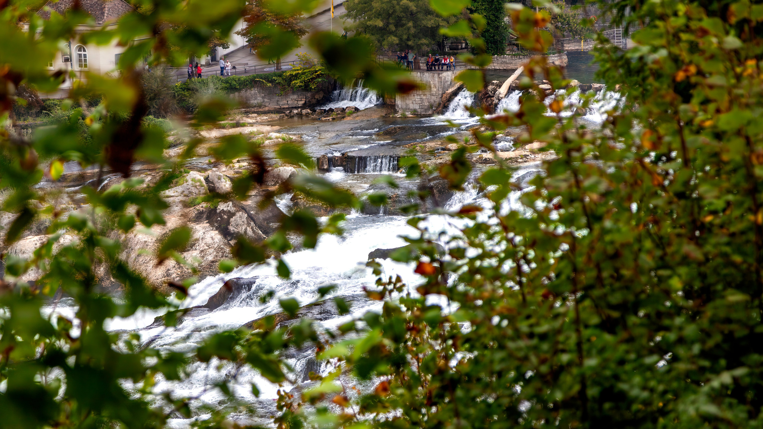 186.Rhine Falls.Switzerland.23.9.2024. Путешествия в формате 360......