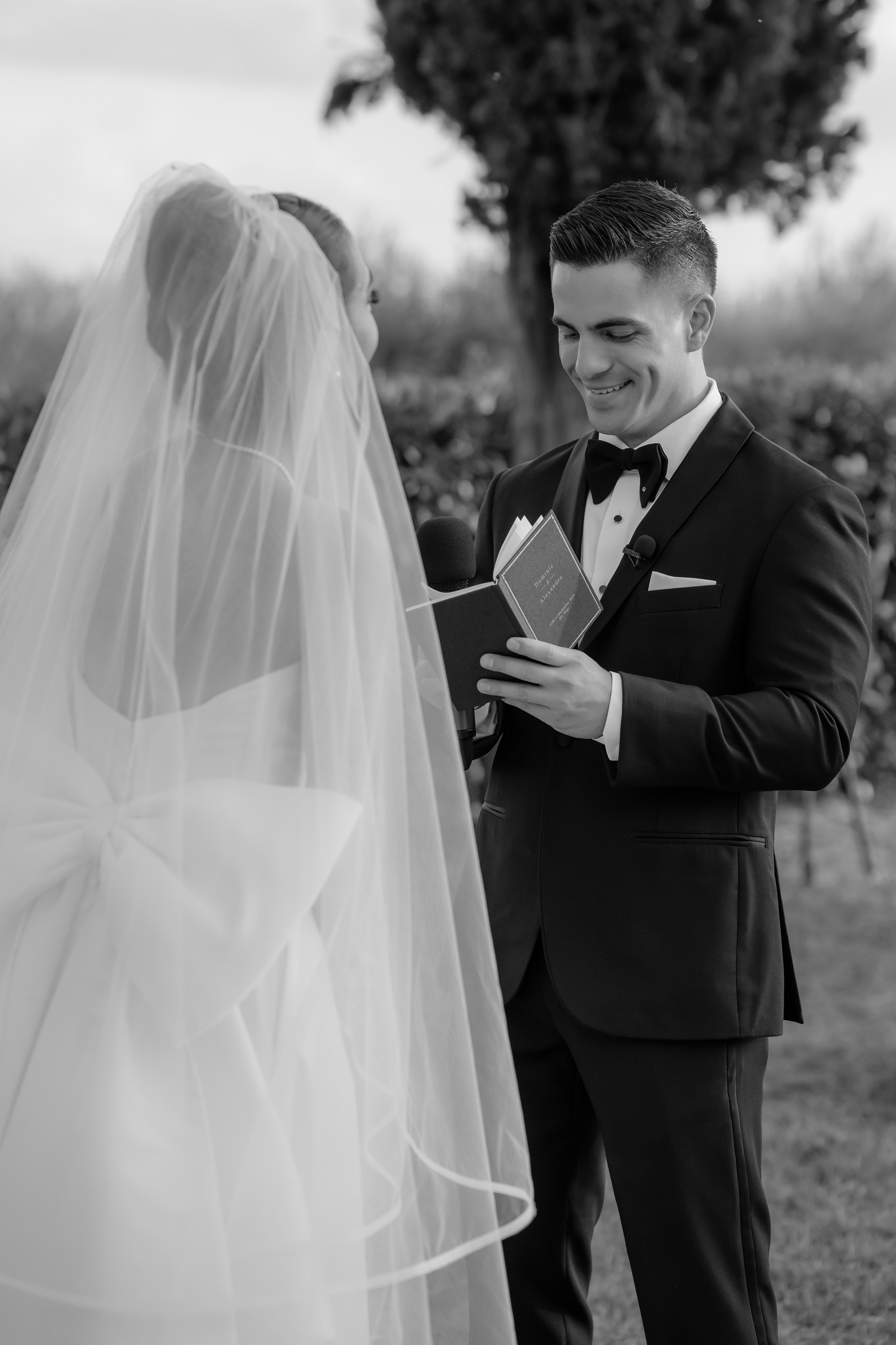 Dom&Ally. Весільний фотограф Вікторія Саврук