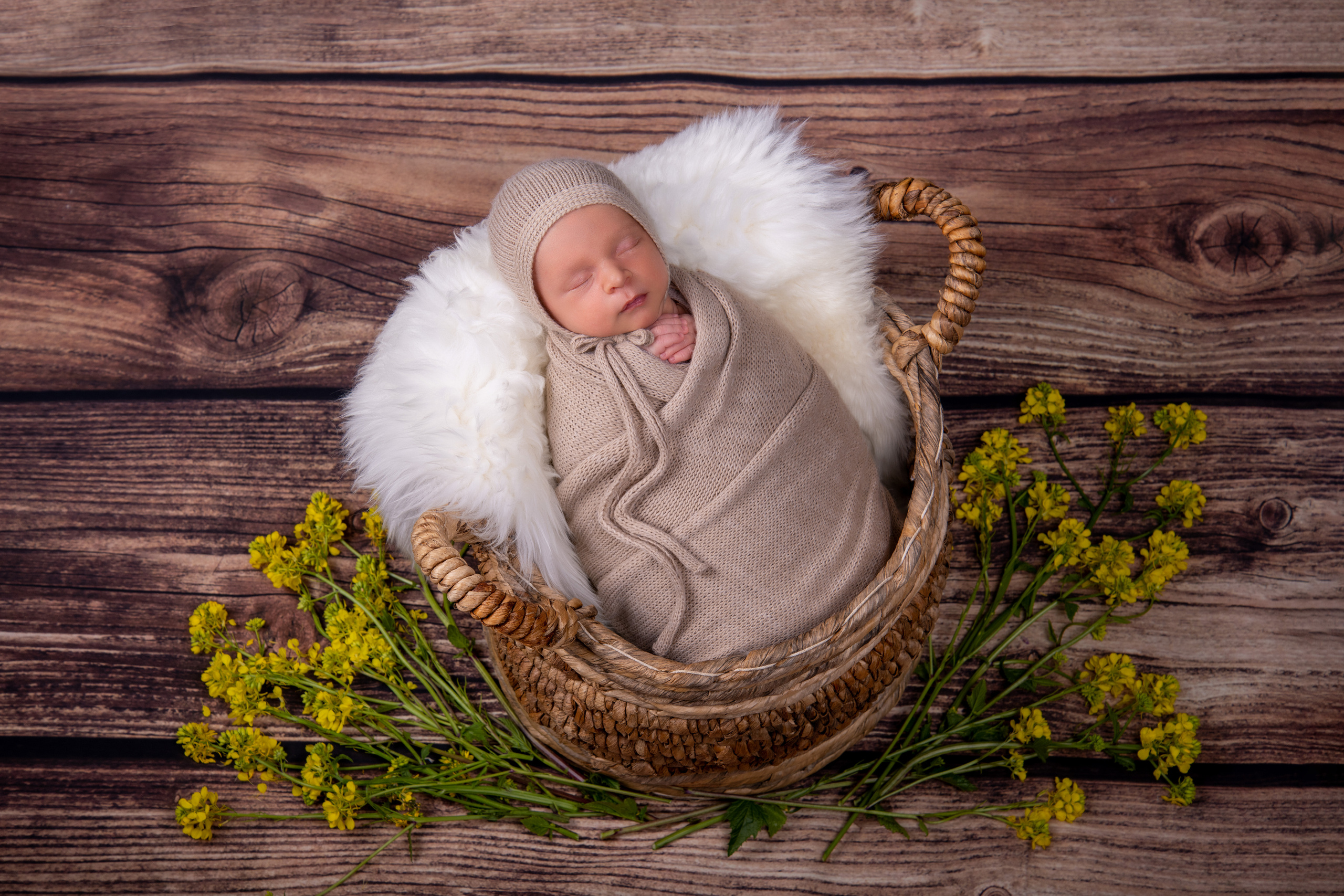 Newborn. Newborn photographer Sacramento