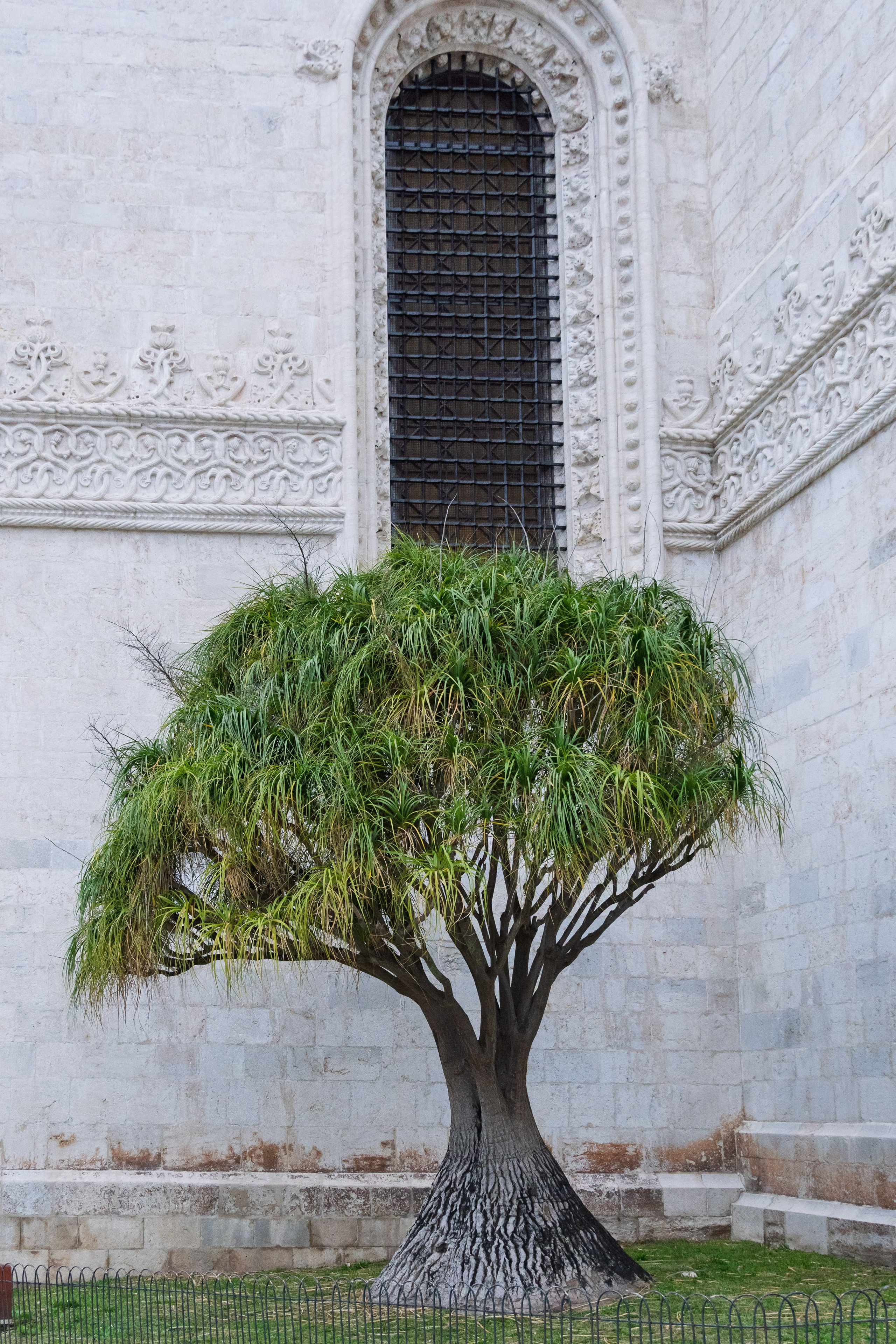 Lisabona 2025. Fotografiideplacere.net