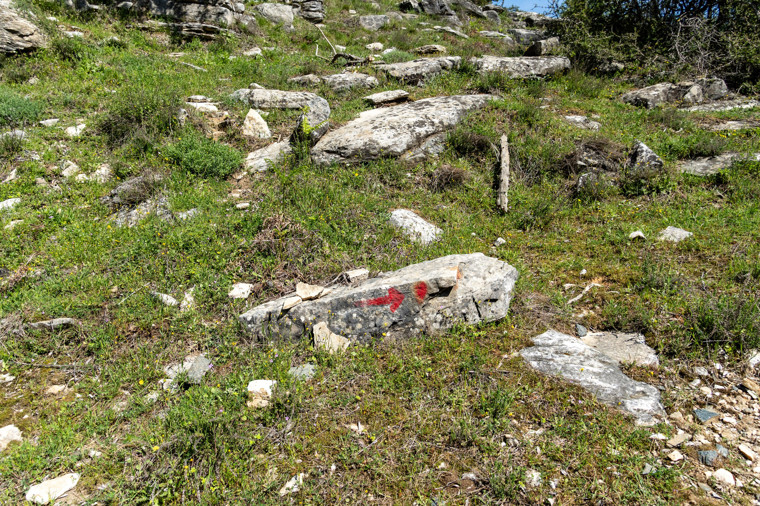Thasos 2025. Fotografiideplacere.net
