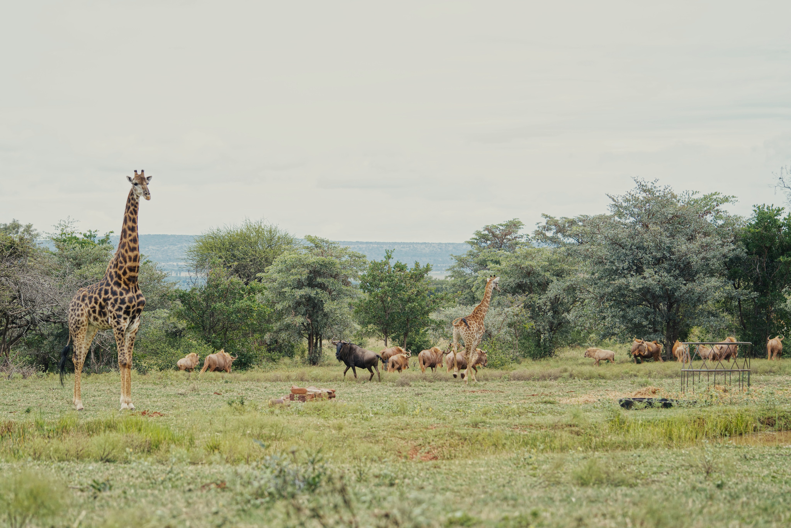 Photo Album. Pieter Muller — Cinematic filmmaker crafting outdoor, lifestyle & brand stories across South Africa