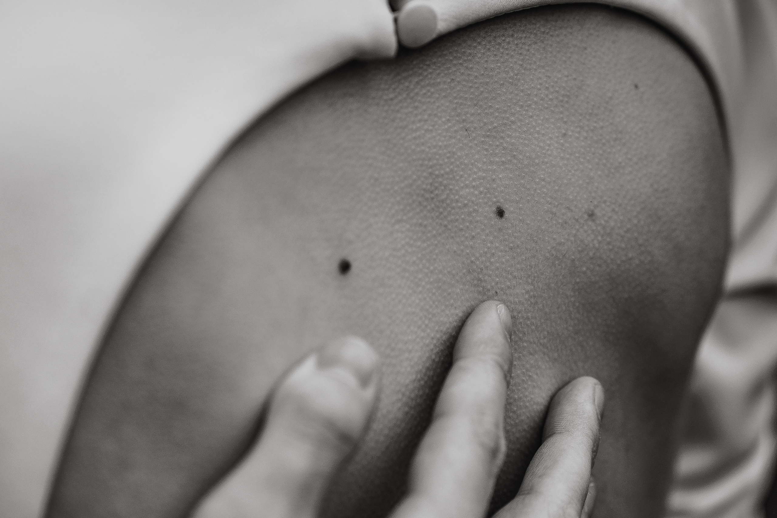 WEDDING PHOTO. Wedding and family photographer and videographer PA, NJ, NY, DE, MD