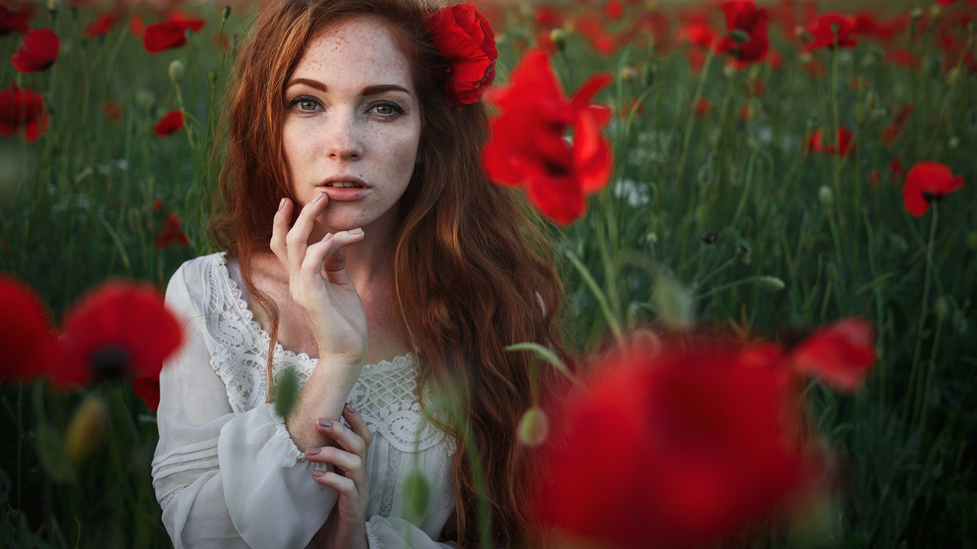 Фотосессия в маках. Свадебный и семейный фотограф Алексей Попов. Штутгарт, Германия