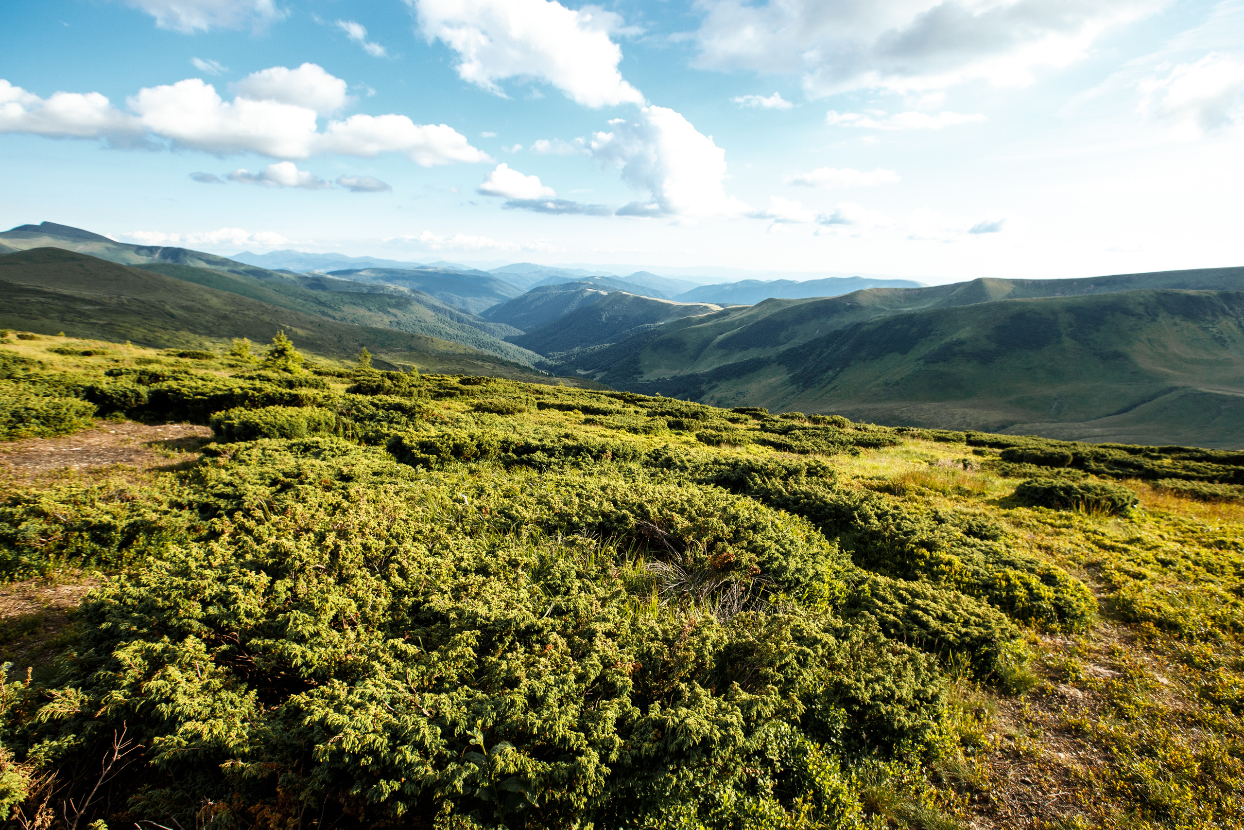 Iuri & Ina | Bukovel, Ukraine. Dinumalancea.com — fotograf de nunta si familie. Moldova, Romania, UE