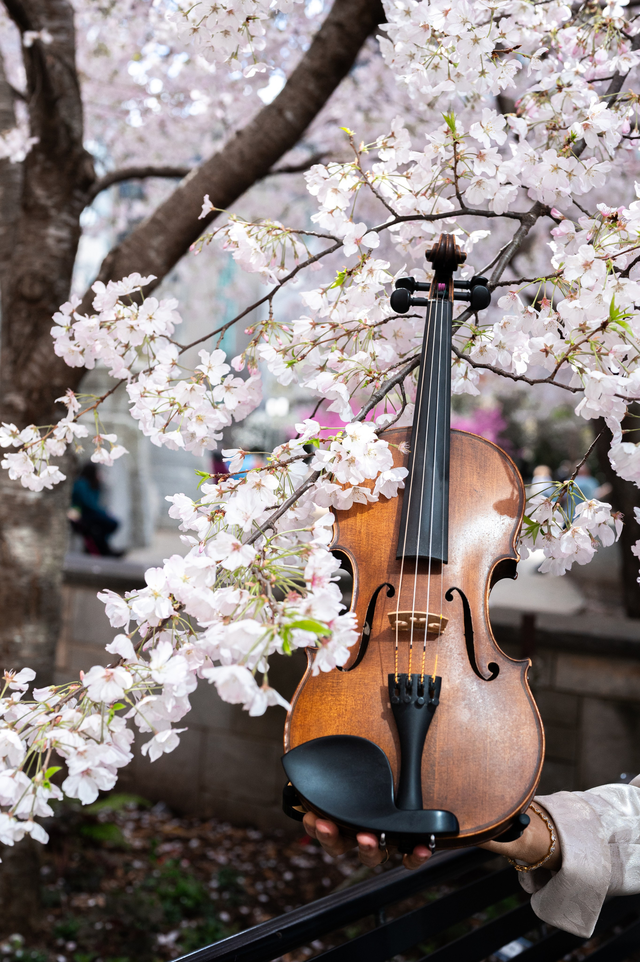 Nora. Portrait photographer in Charlotte, North Carolina