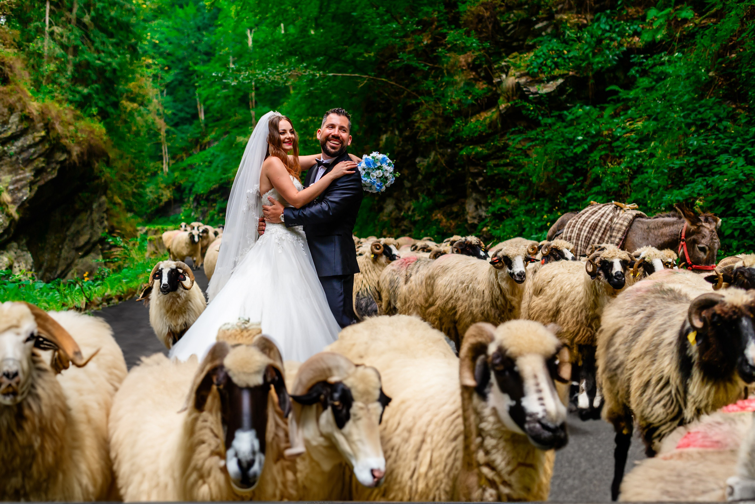 Highlights. Cătălin Lazăr Photography — Fotografie de nuntă și evenimente premium în România și Europa