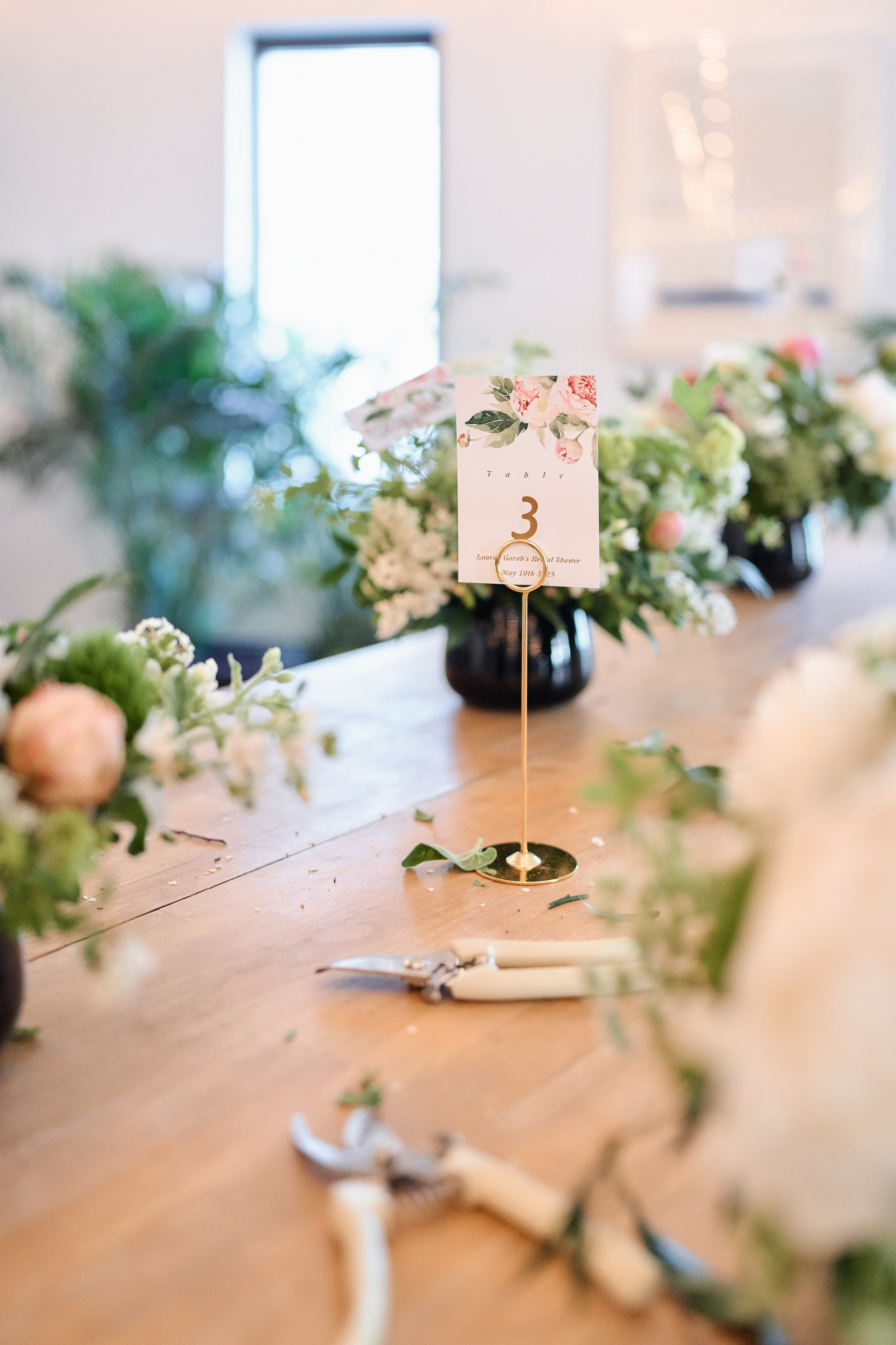 Lauren Gorab’s Bridal Shower. Professional Wedding and event photographer USA New York