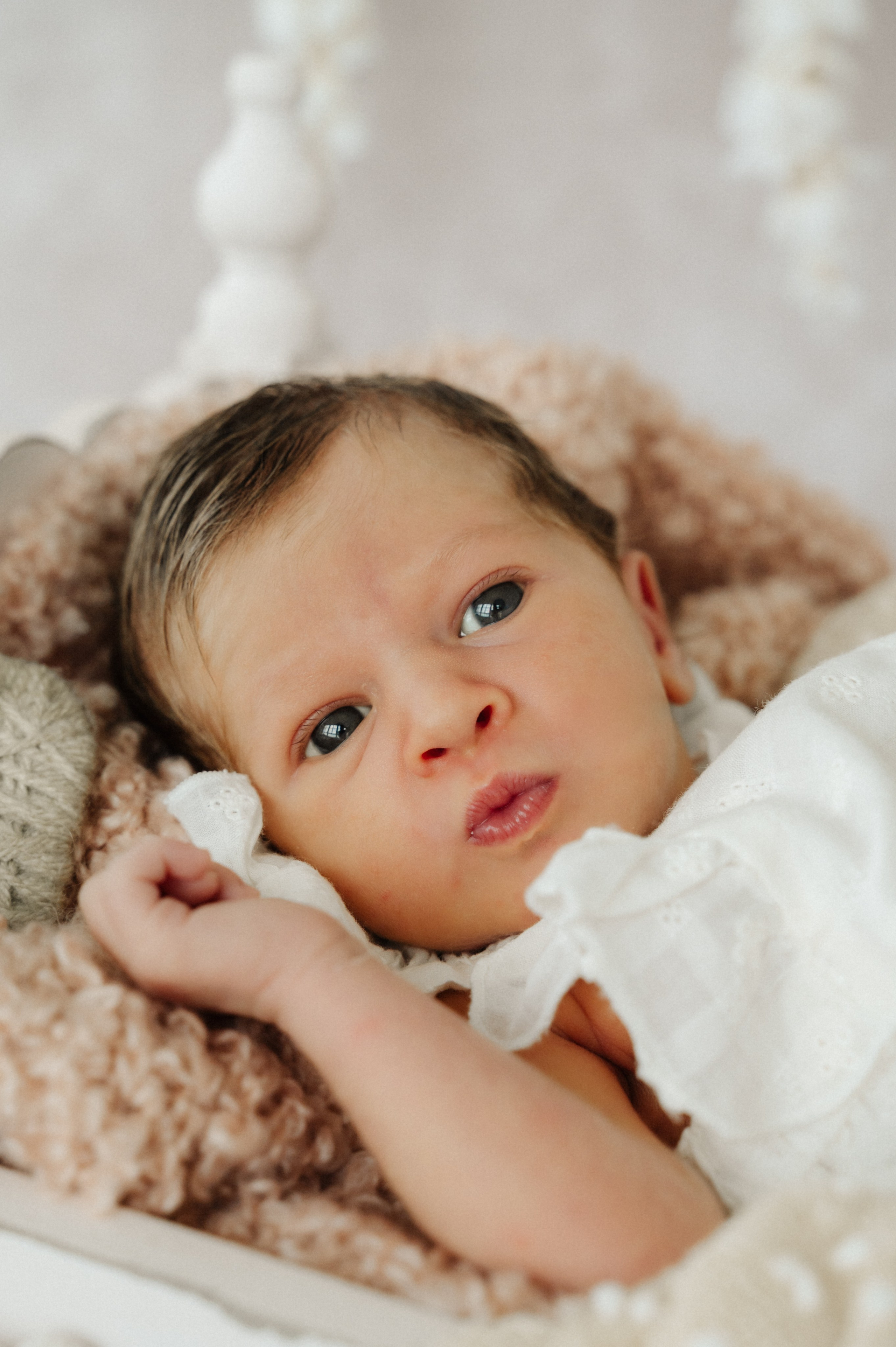 Newborn. Anastasia Kurbanov Photography